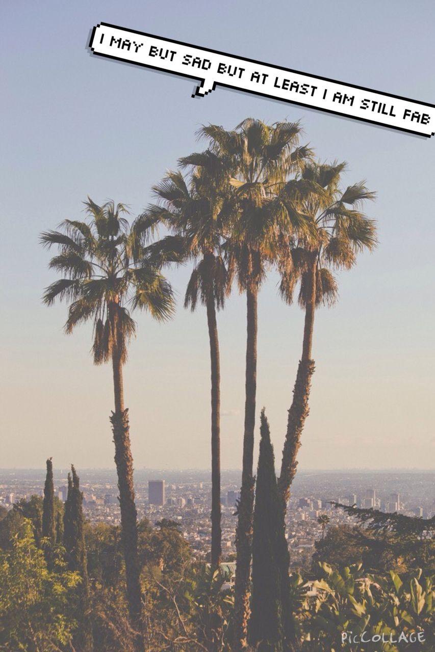 853x1280 Fab, Palms, Quote, Sadness, Tumblr, Wallpaper, Speechbubble
