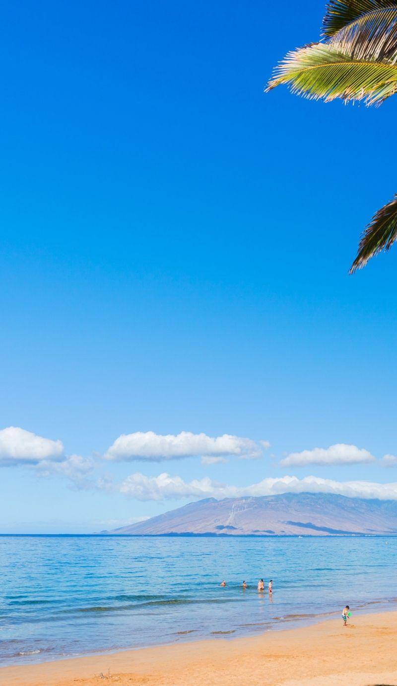 800x1380 Download Maui, Hawaii, beach, ocean, coast, palm, sky, 5k