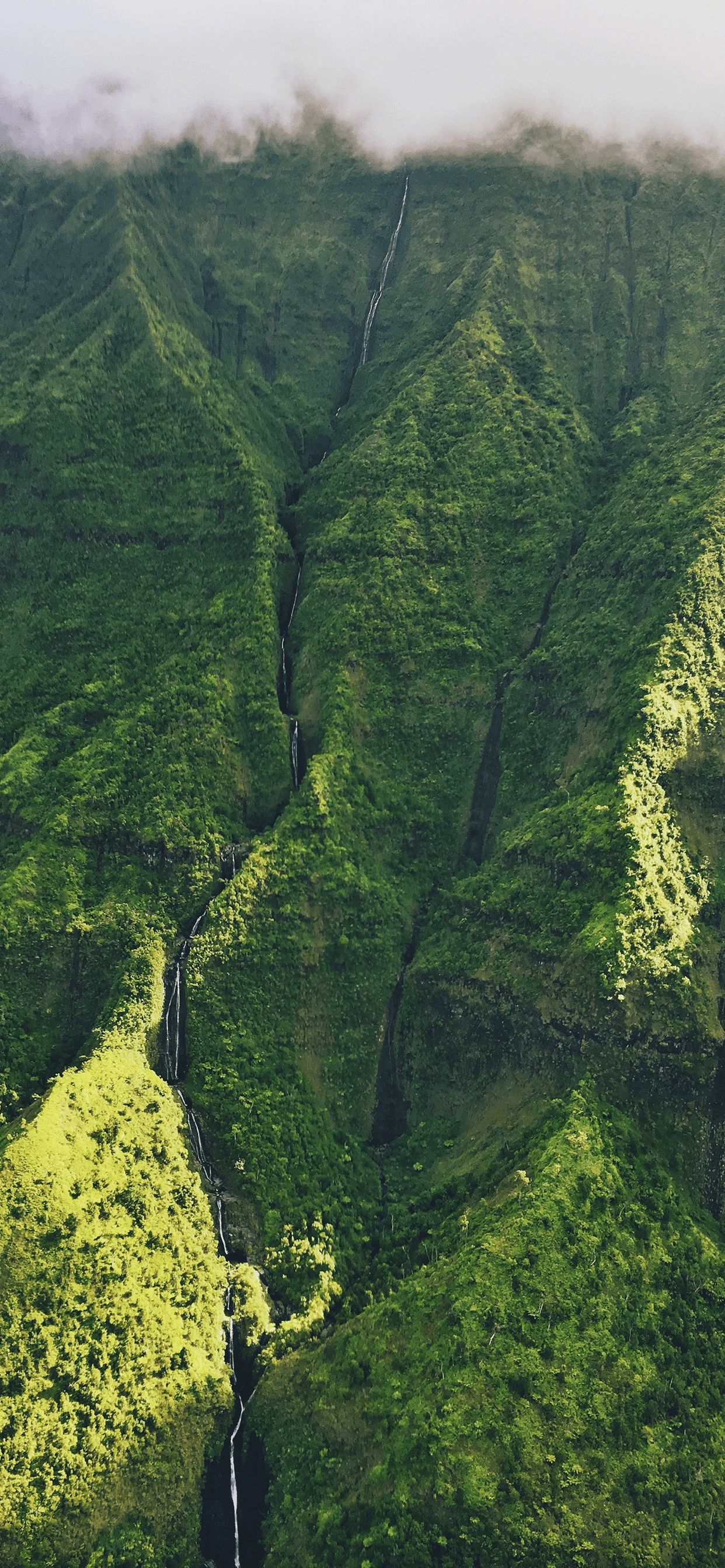 1242x2688 Hawaii Wallpaper for iPhone X, 6