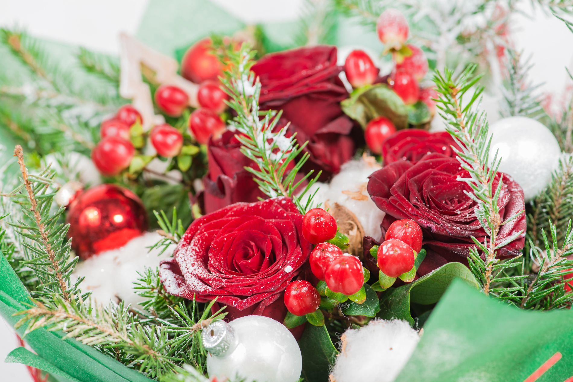 Christmas Flowers Wallpapers - Top Free Christmas Flowers Backgrounds - WallpaperAccess