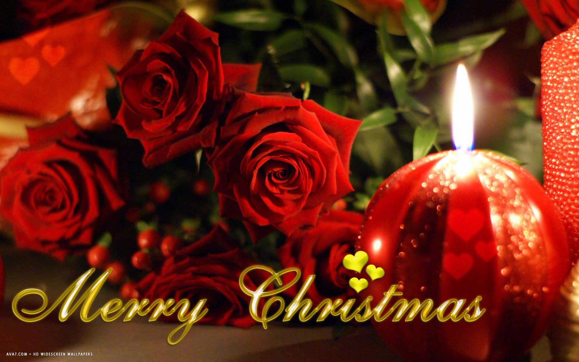 Christmas Flowers Wallpapers - Top Free Christmas Flowers Backgrounds 