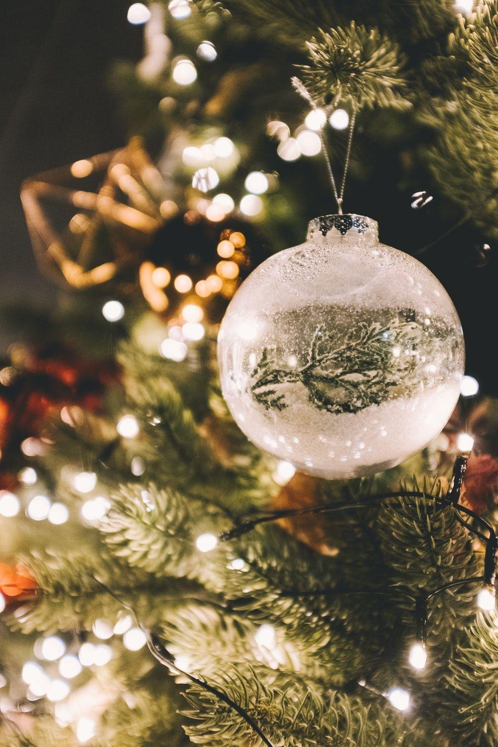 1000x1500 Ornament Picture [HD]. Download Free Image