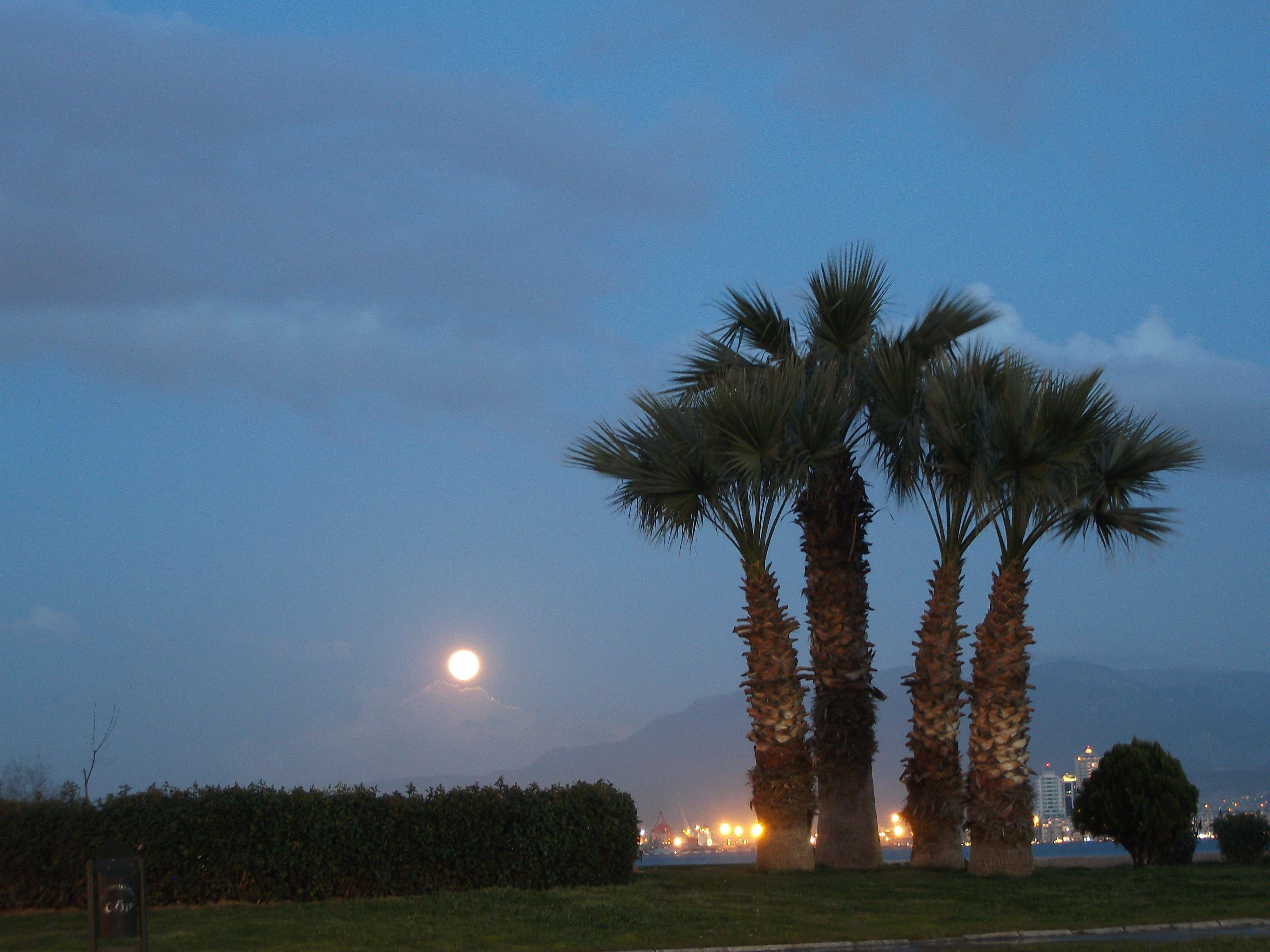 4000x3000 Moon, Lovely Place, colored, trees, Izmir, Full, Dual Screen
