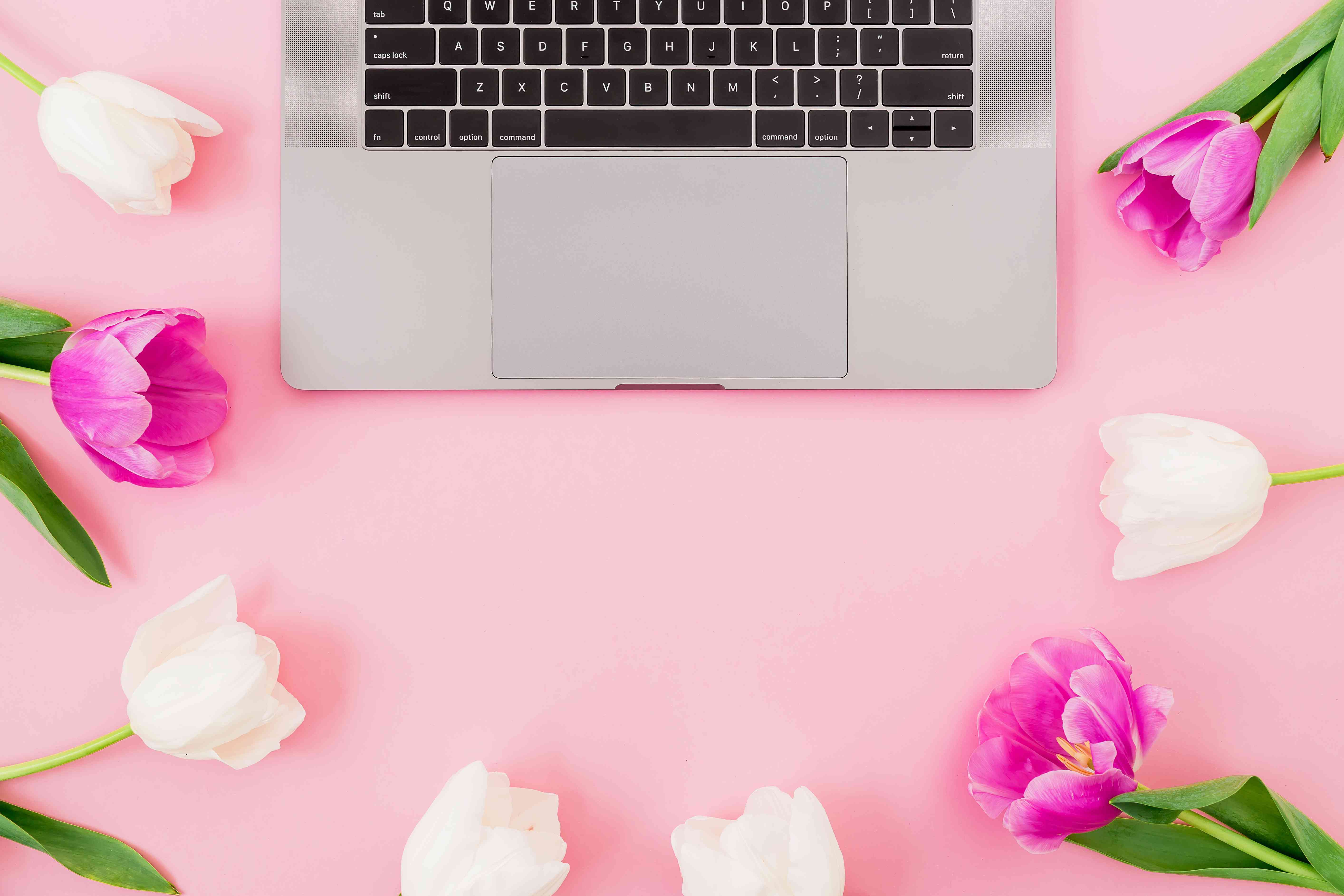 5656x3771 Beautiful Flower Wallpaper