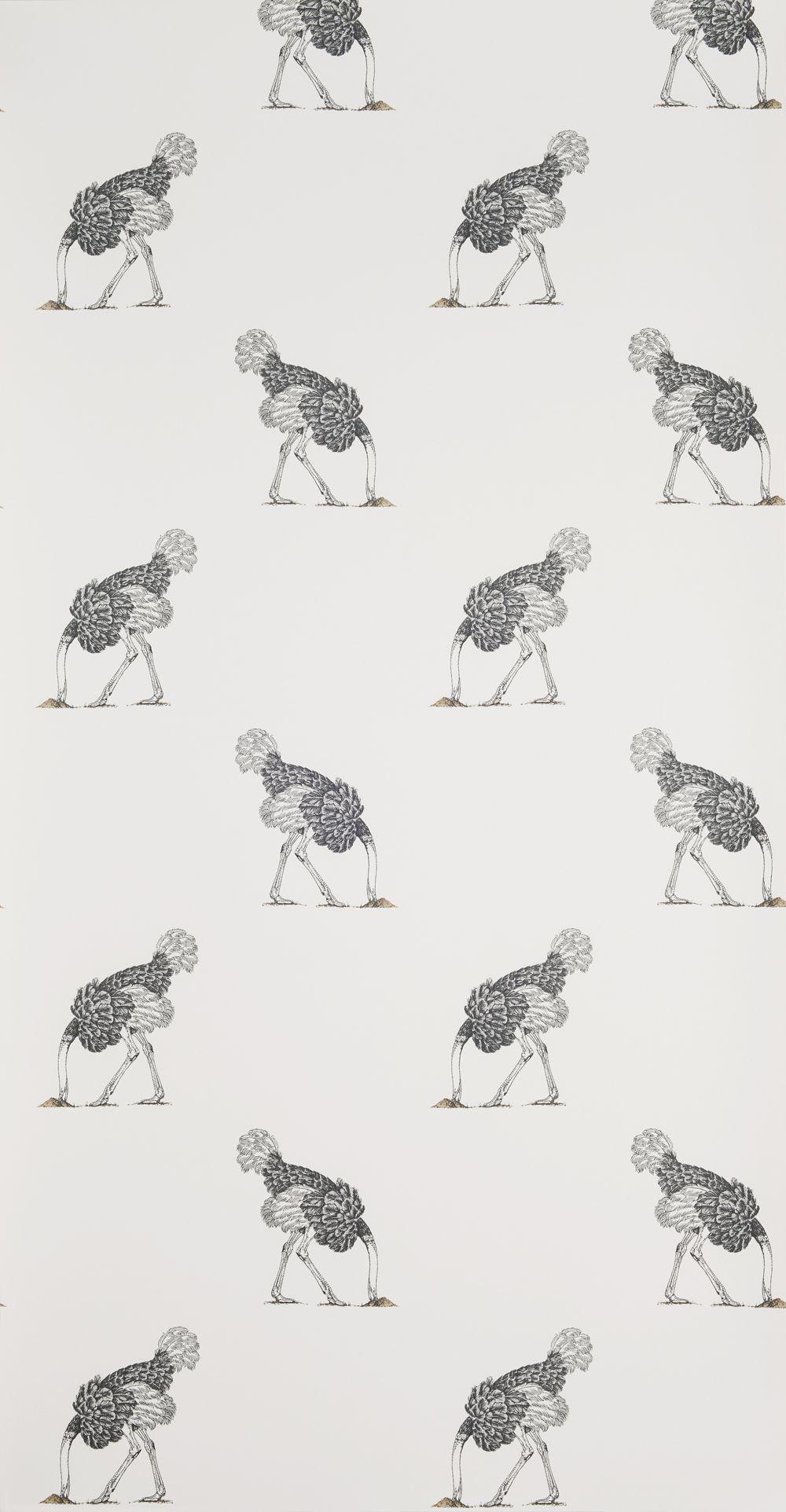 1000x1924 Beware of the Moon Ostrich Wallpaper English Room