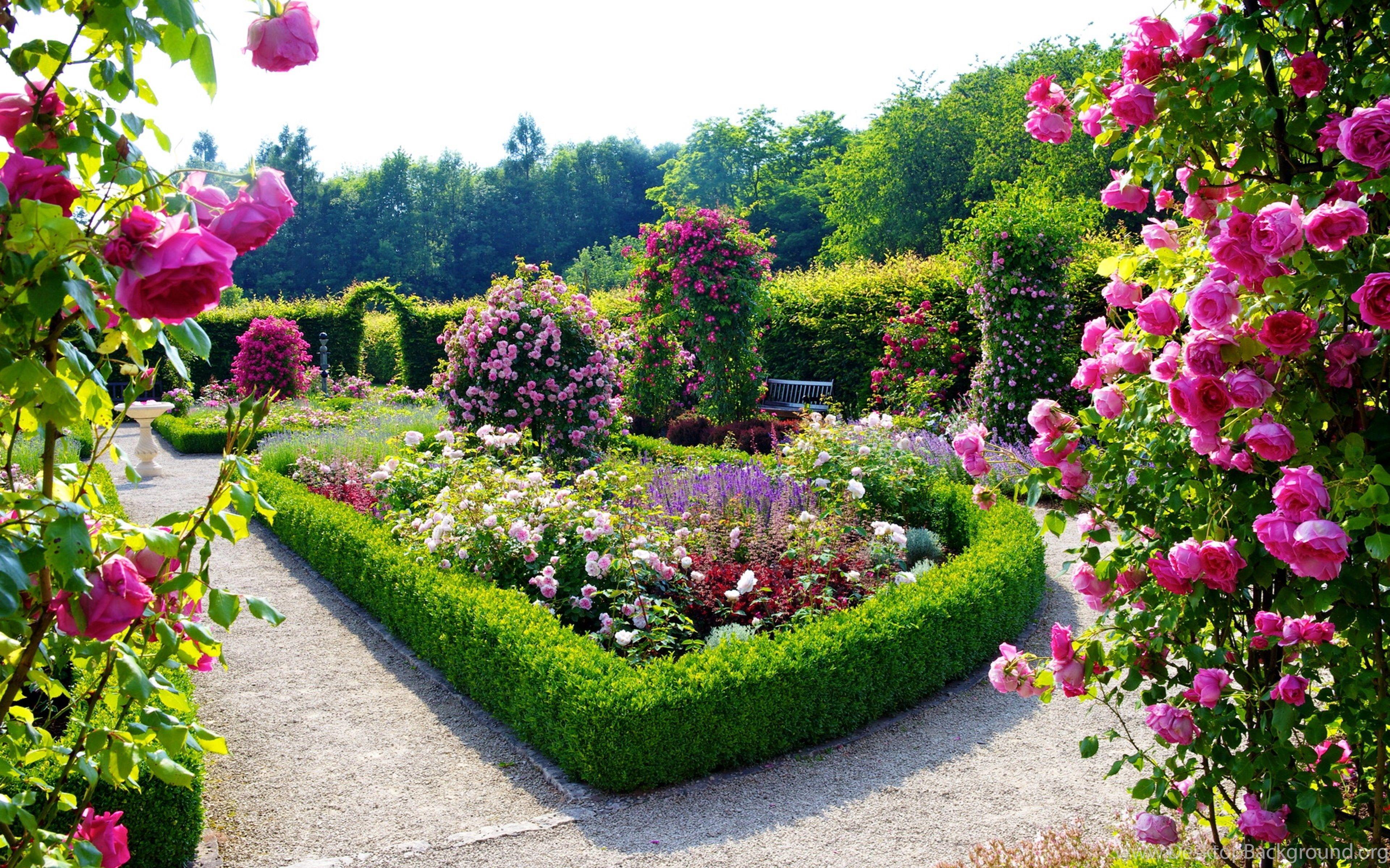 Flower Garden Desktop Wallpapers - Top Free Flower Garden Desktop ...