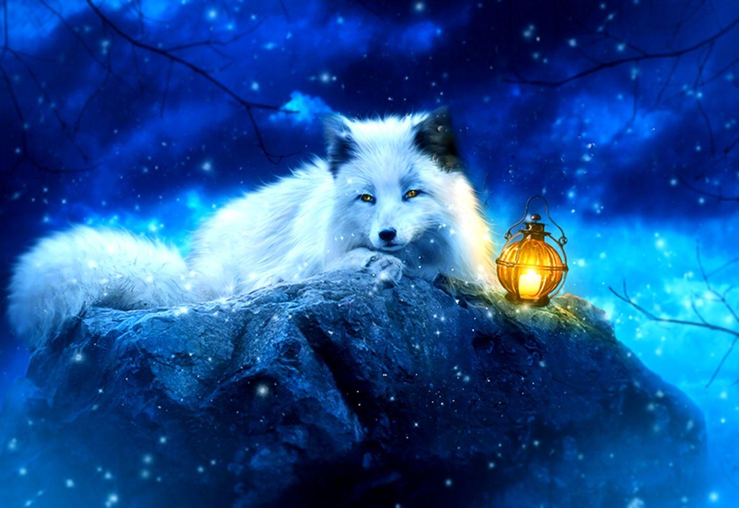 1472x1013 Fox Fantasy Wallpaper HD