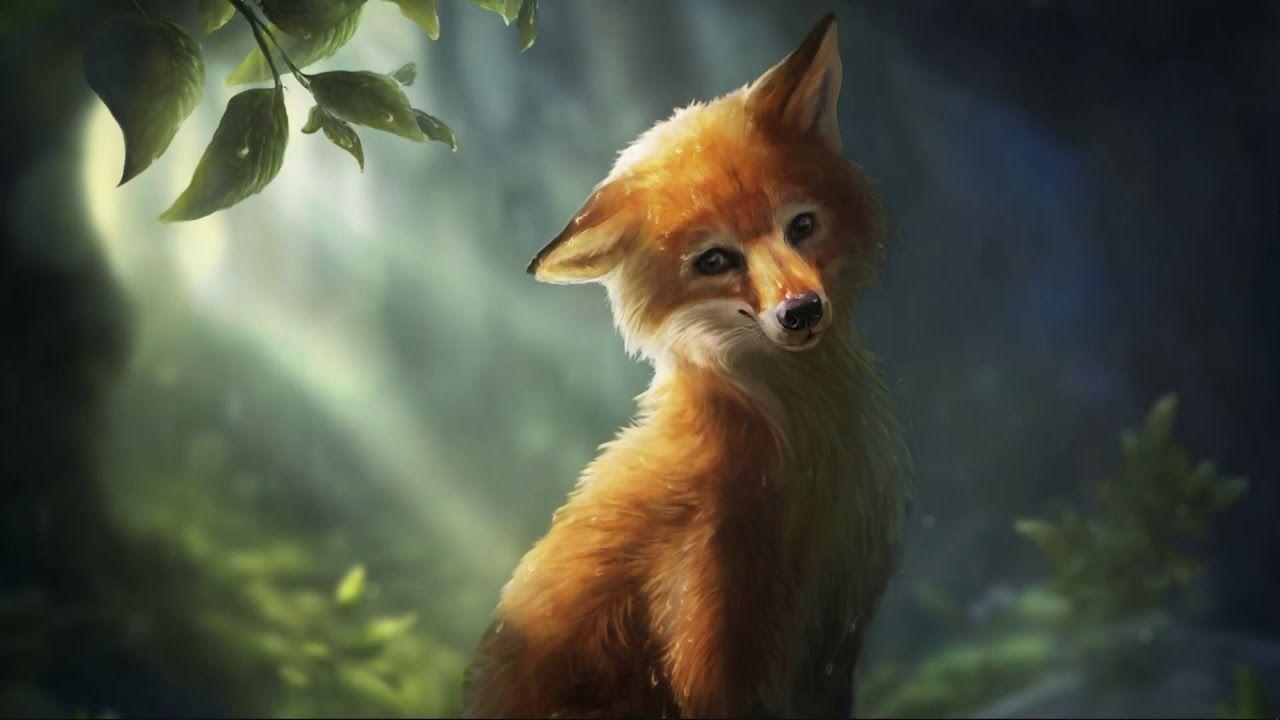 Forest Fox Wallpapers - Top Free Forest Fox Backgrounds - WallpaperAccess