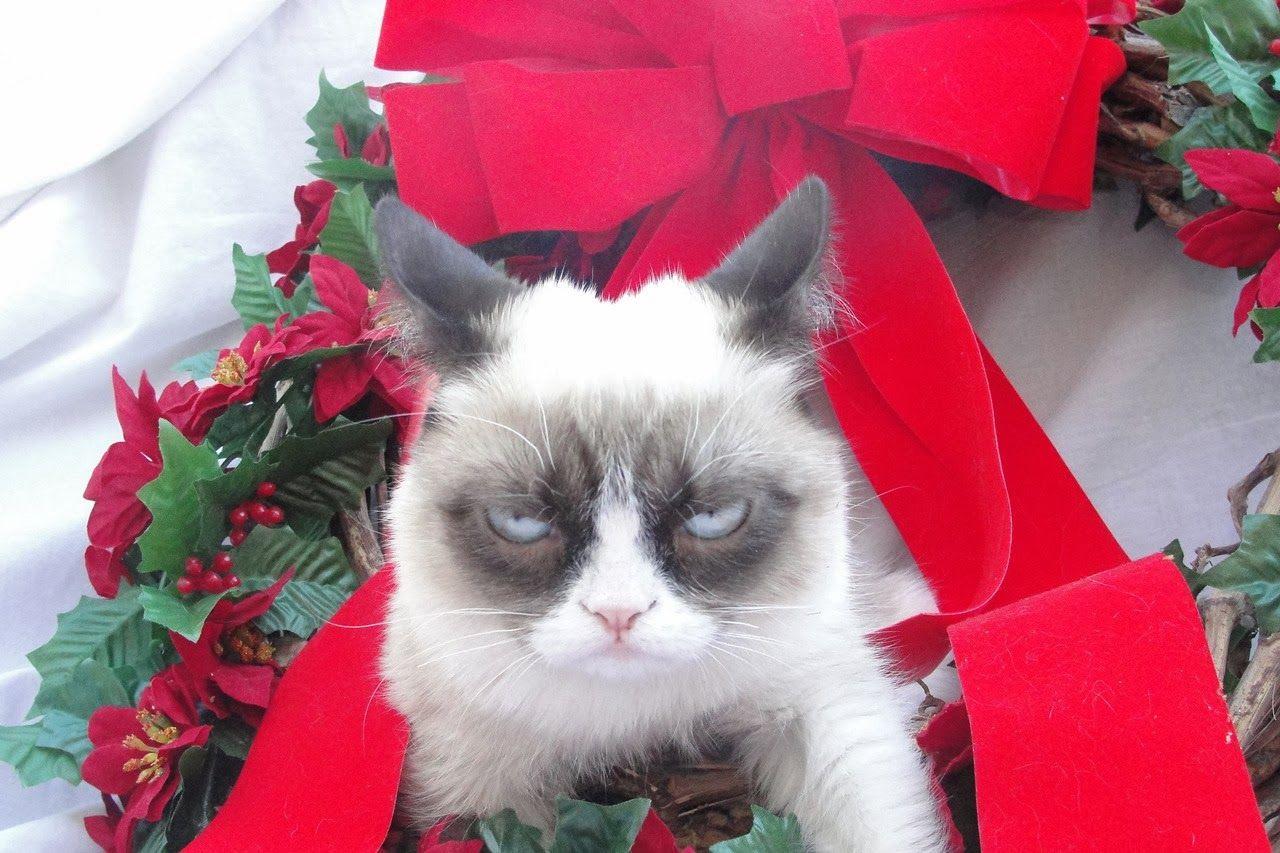 1280x853 Grumpy Cat Christmas Wallpaper