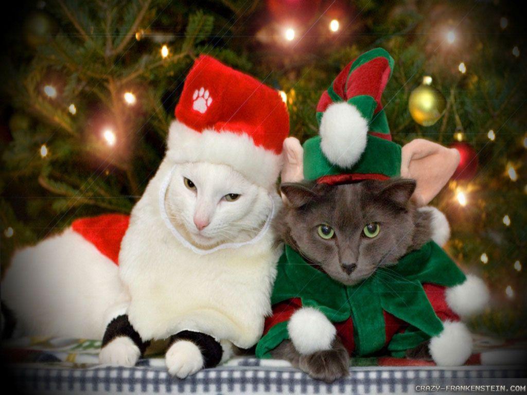 1024x768 Free Christmas Wallpaper Image