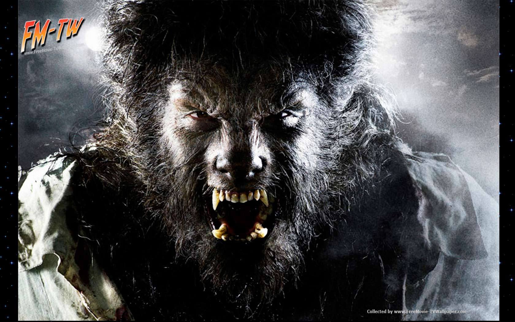 1680x1050 The Wolfman Movie Poster Movies Wallpaper