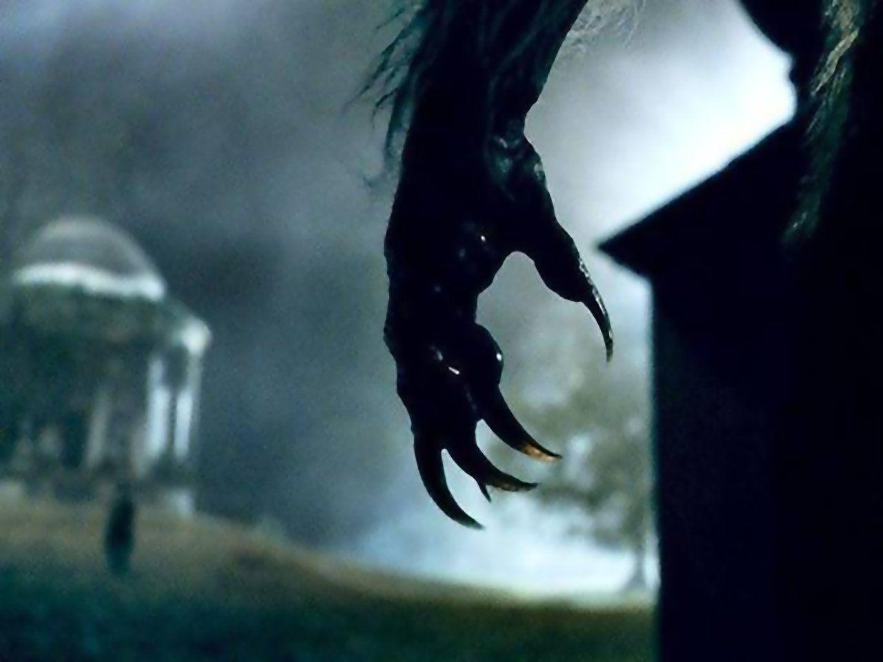 1280x960 The Wolfman Wallpaper and Background Imagex960