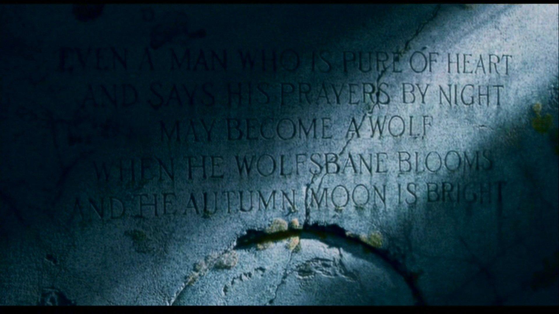 1920x1080 The Wolfman wallpaper 1920x1080 Full HD (1080p) desktop