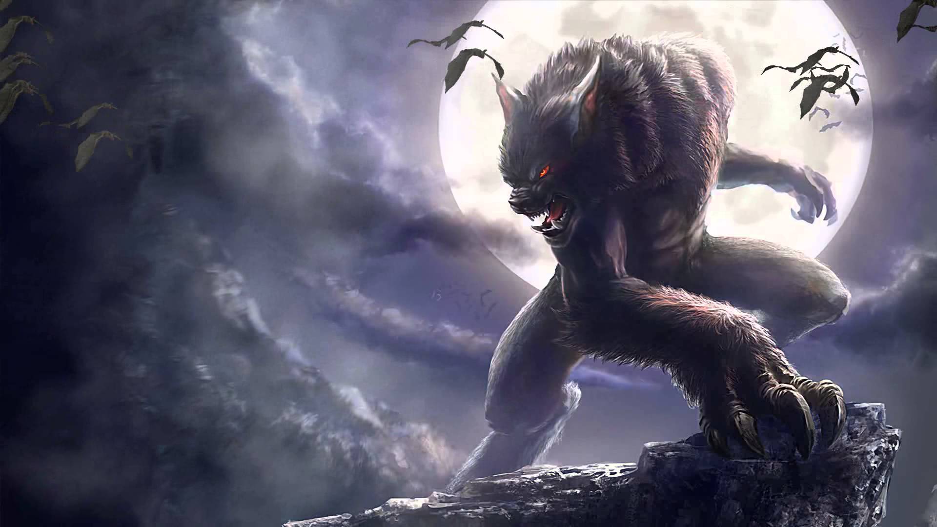1920x1080 wolfman wallpaper Gallery