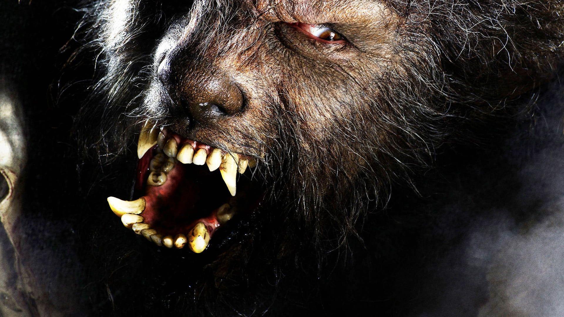 1920x1080 HD wallpaper: the wolfman