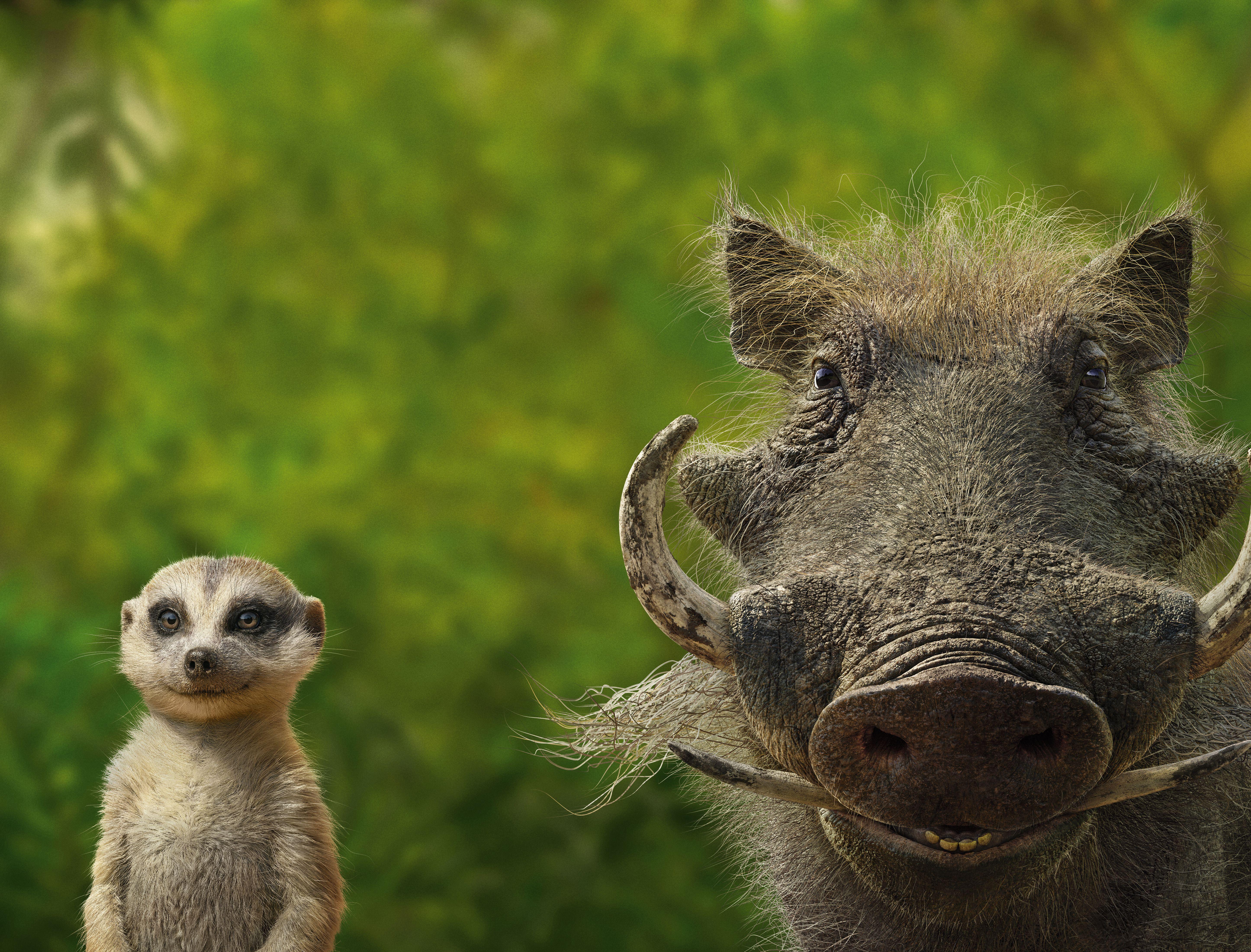 5782x4400 Timon And Pumbaa, HD Movies, 4k Wallpaper, Image