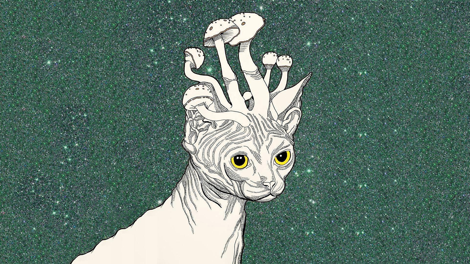 1920x1080 Stoner Wallpaper HD