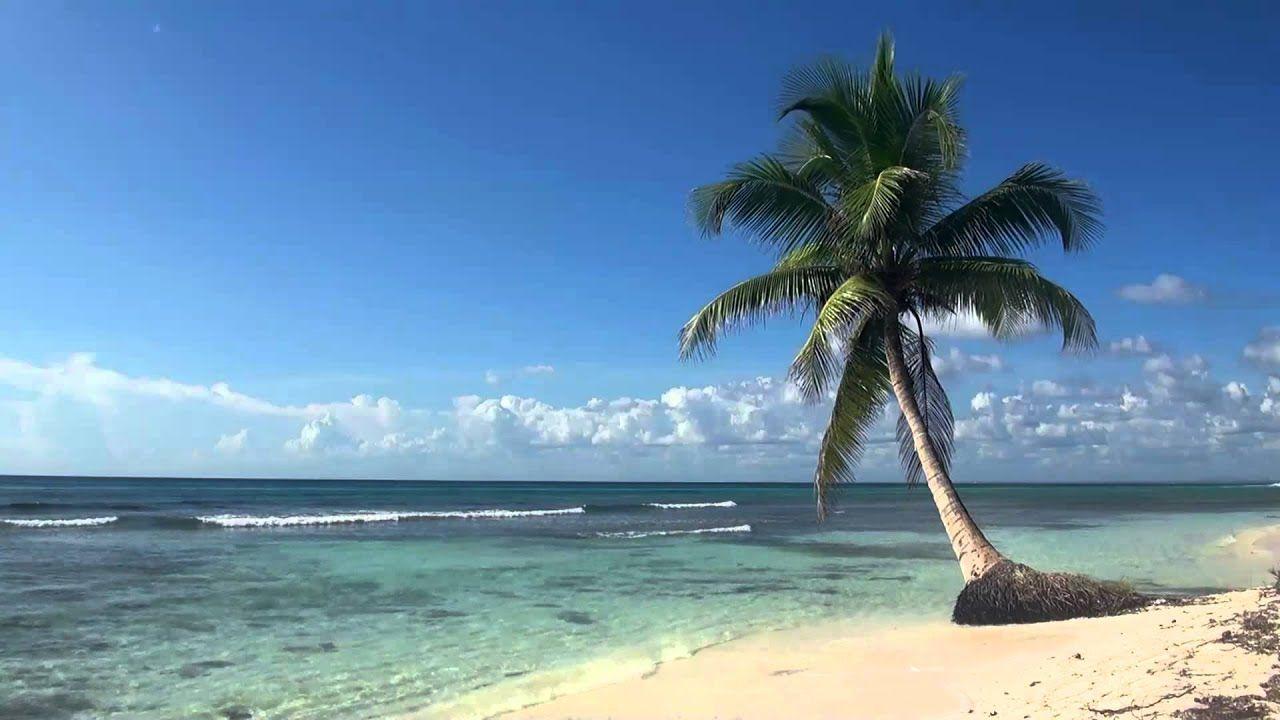 1280x720 Â ¥ â ?? ¥ Video 3 giờ thư giãn về Bãi biển nhiệt đới với màu xanh da trời trắng