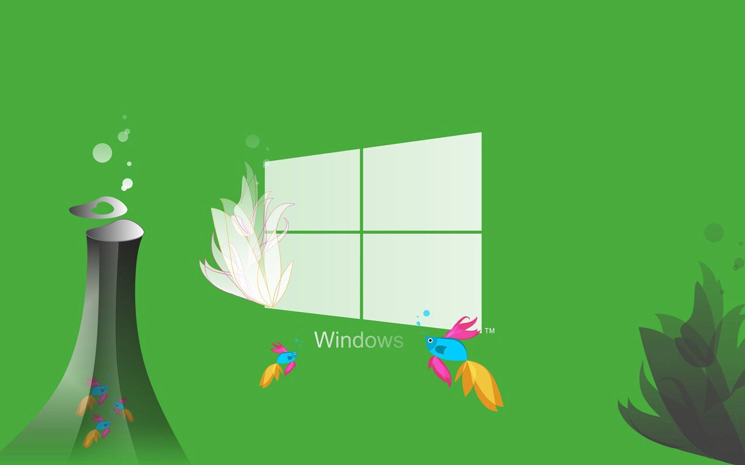 Green Windows Wallpapers Top Free Green Windows Backgrounds