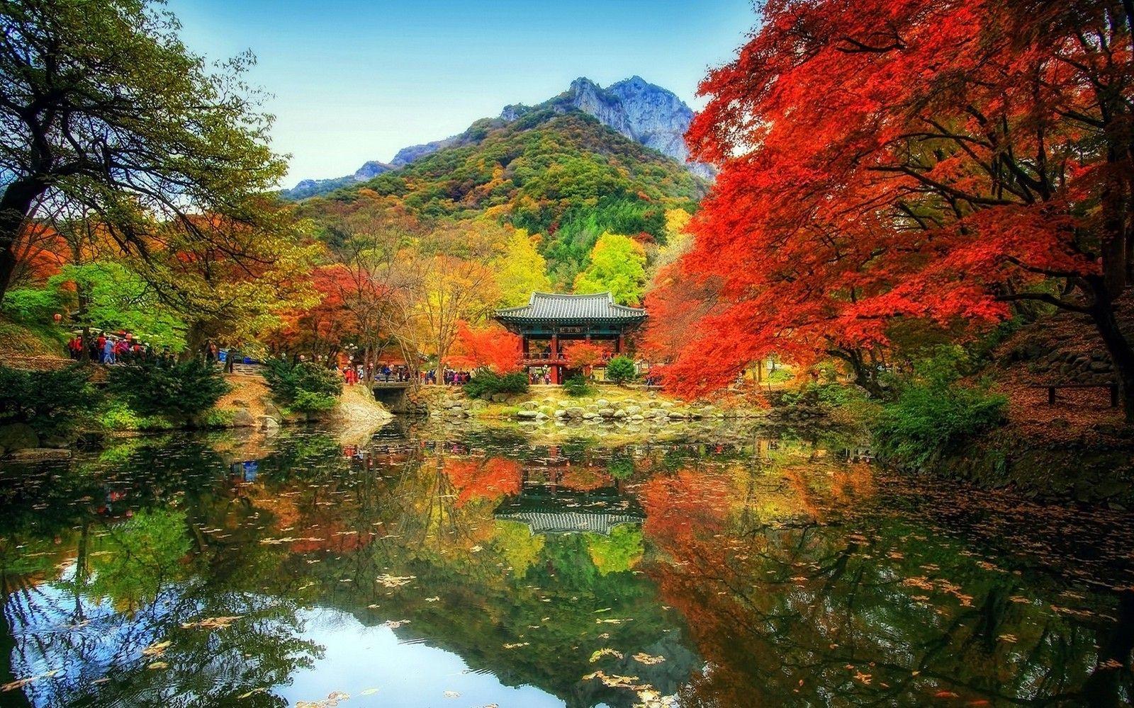 1600x1000 nature, Landscape, Fall, Trees, Reflection, People, Mountain, Temple, Water, Park Wallpaper HD / Desktop and Mobile Background