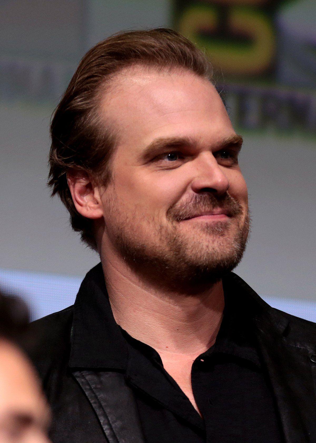 David Harbour Wallpapers - Top Free David Harbour Backgrounds