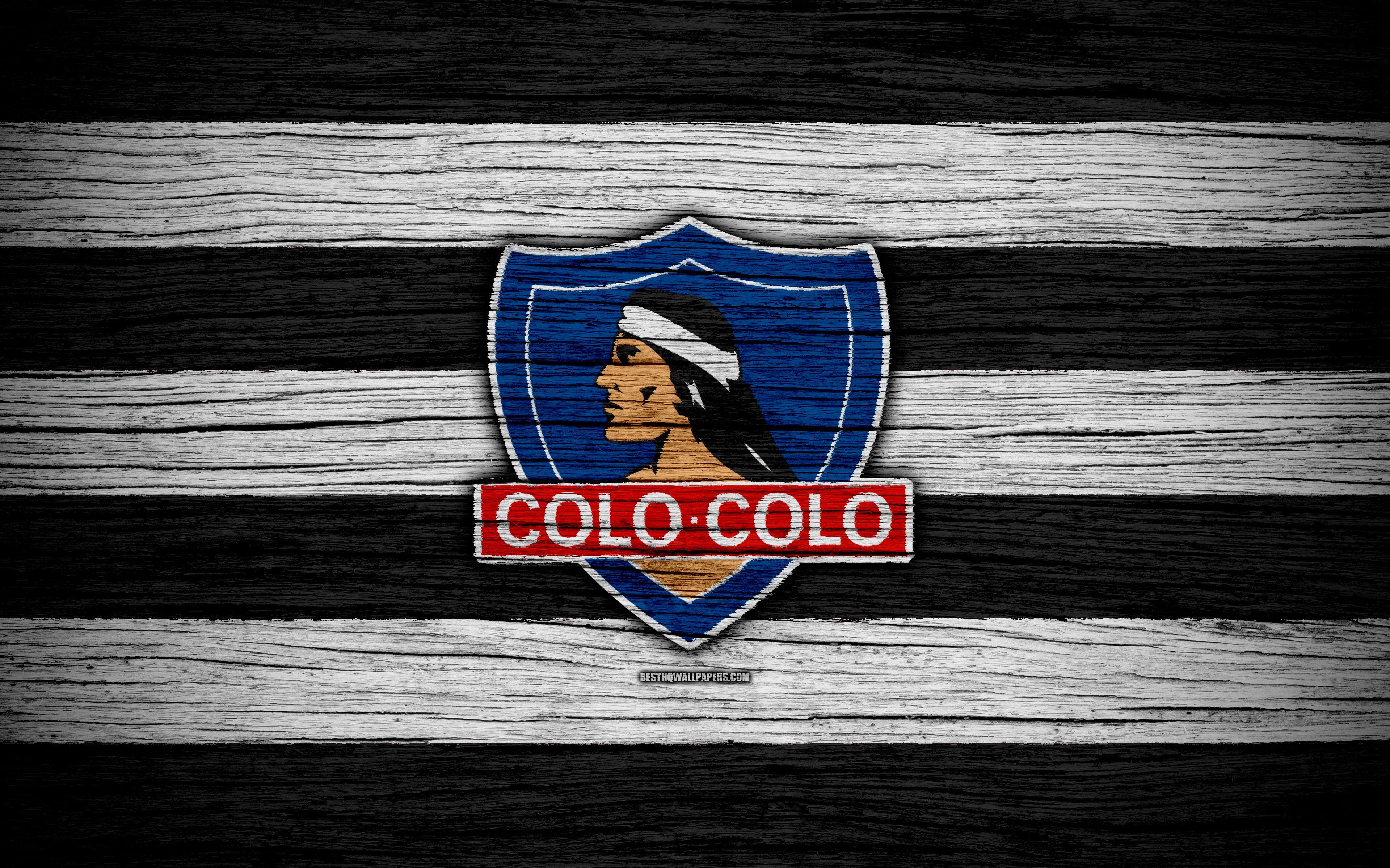 Colo-colo Wallpapers - Top Free Colo-colo Backgrounds - WallpaperAccess
