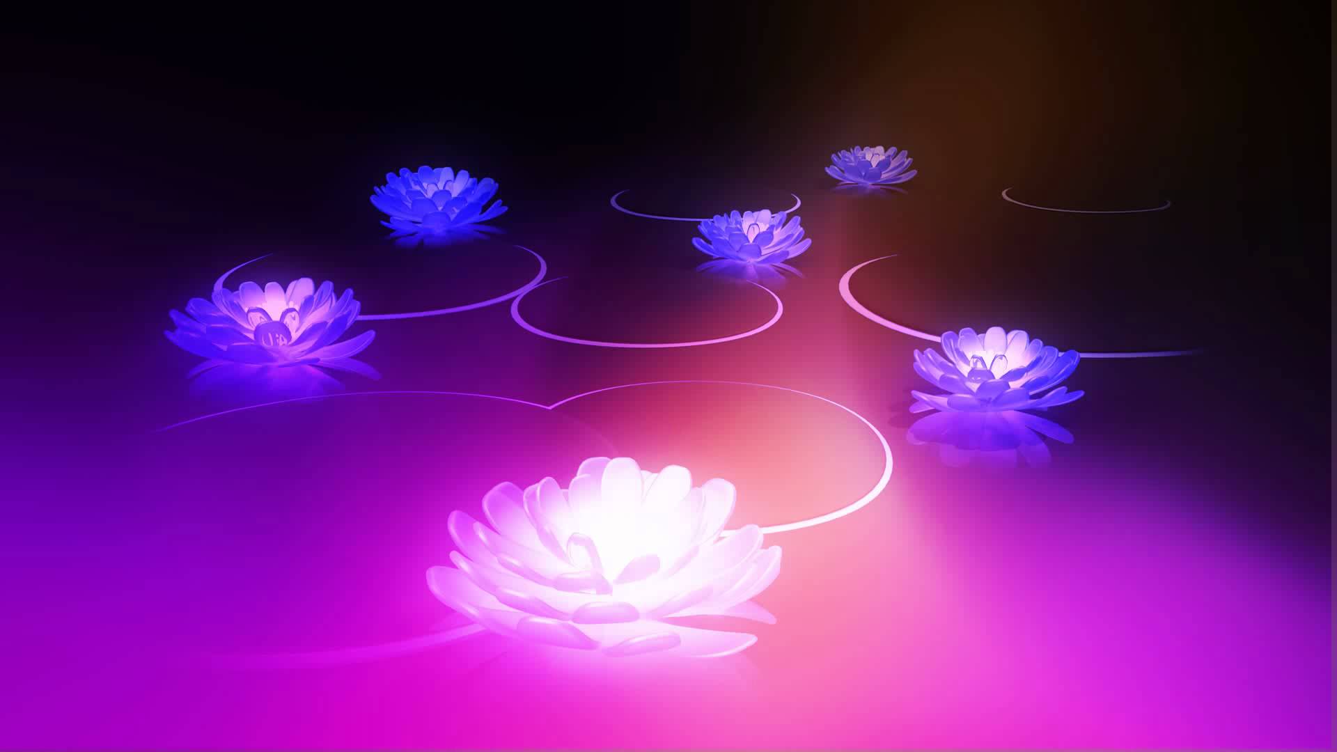 Zen Lotus Wallpapers Top Free Zen Lotus Backgrounds WallpaperAccess
