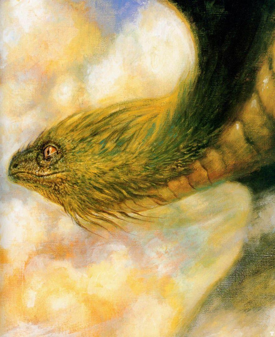 882x1080 Quetzalcoatl Eggleton Wallpaper Image