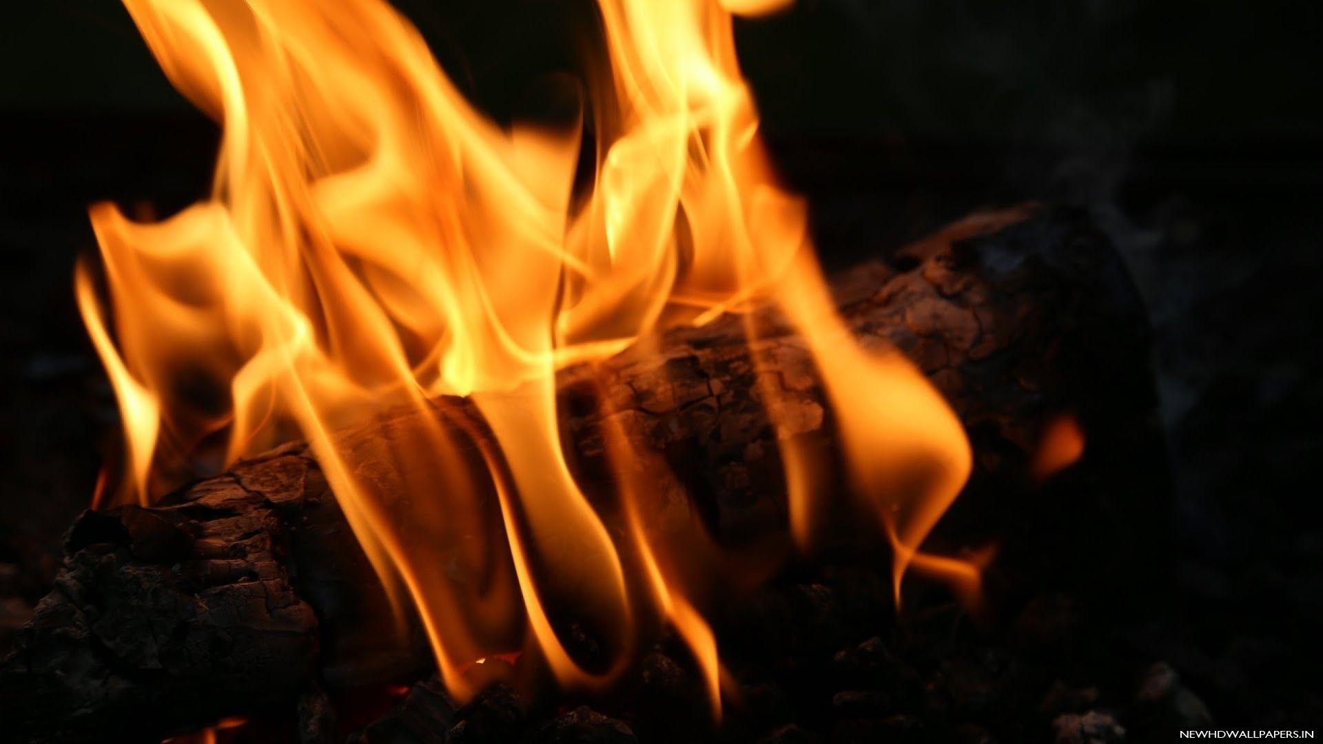 1920x1080 Free download Hot Embers and Wood Fire Desktop Wallpaper New