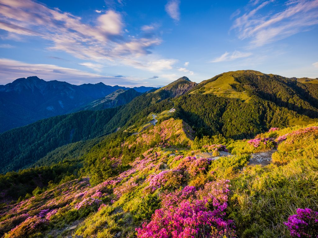 1024x768 Embrace the Renewal: How the Spring Equinox Nurtures Your Spiritual and Emotional Growth Earth AVL Realty