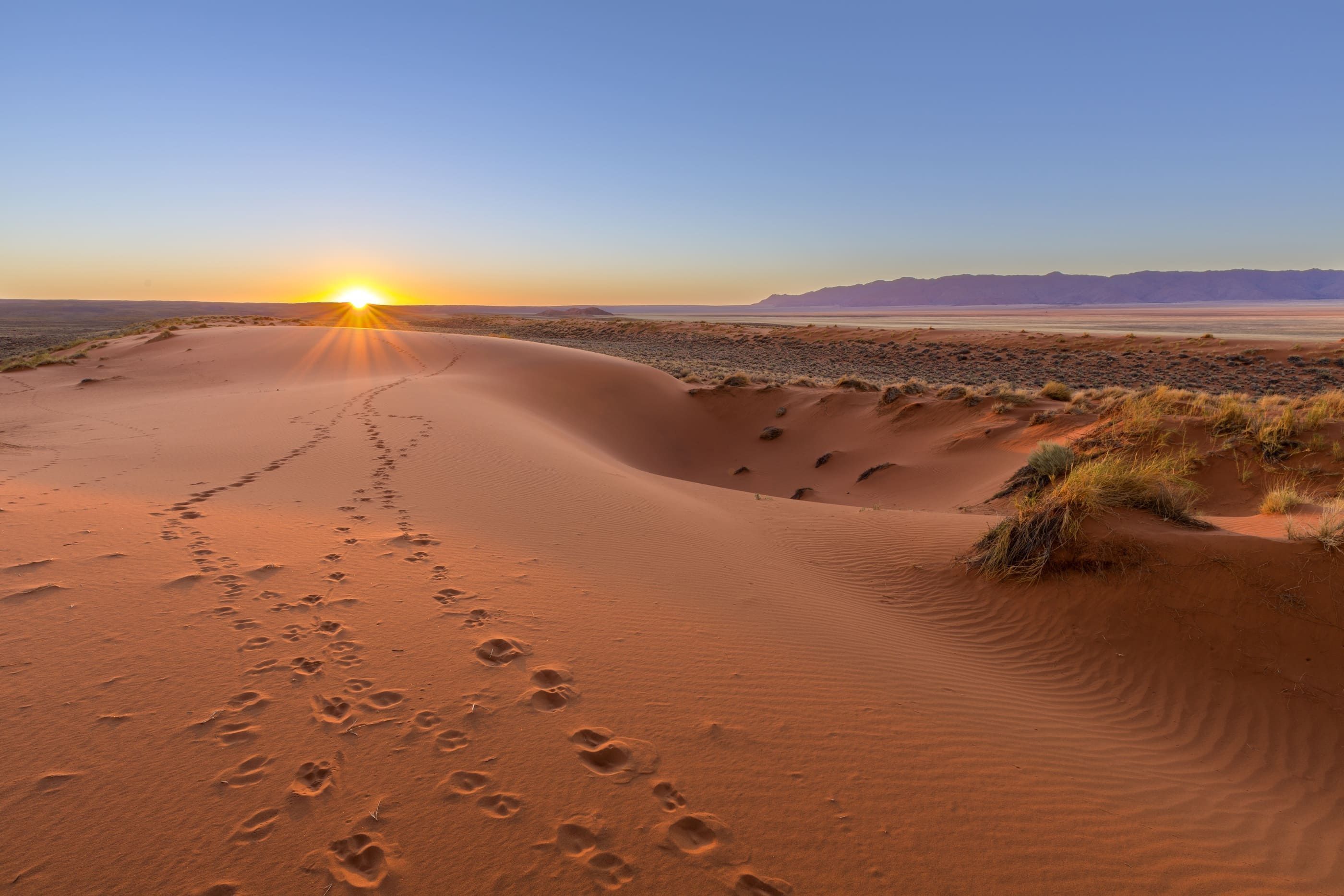 2800x1867 Kalahari Desert Wallpaper