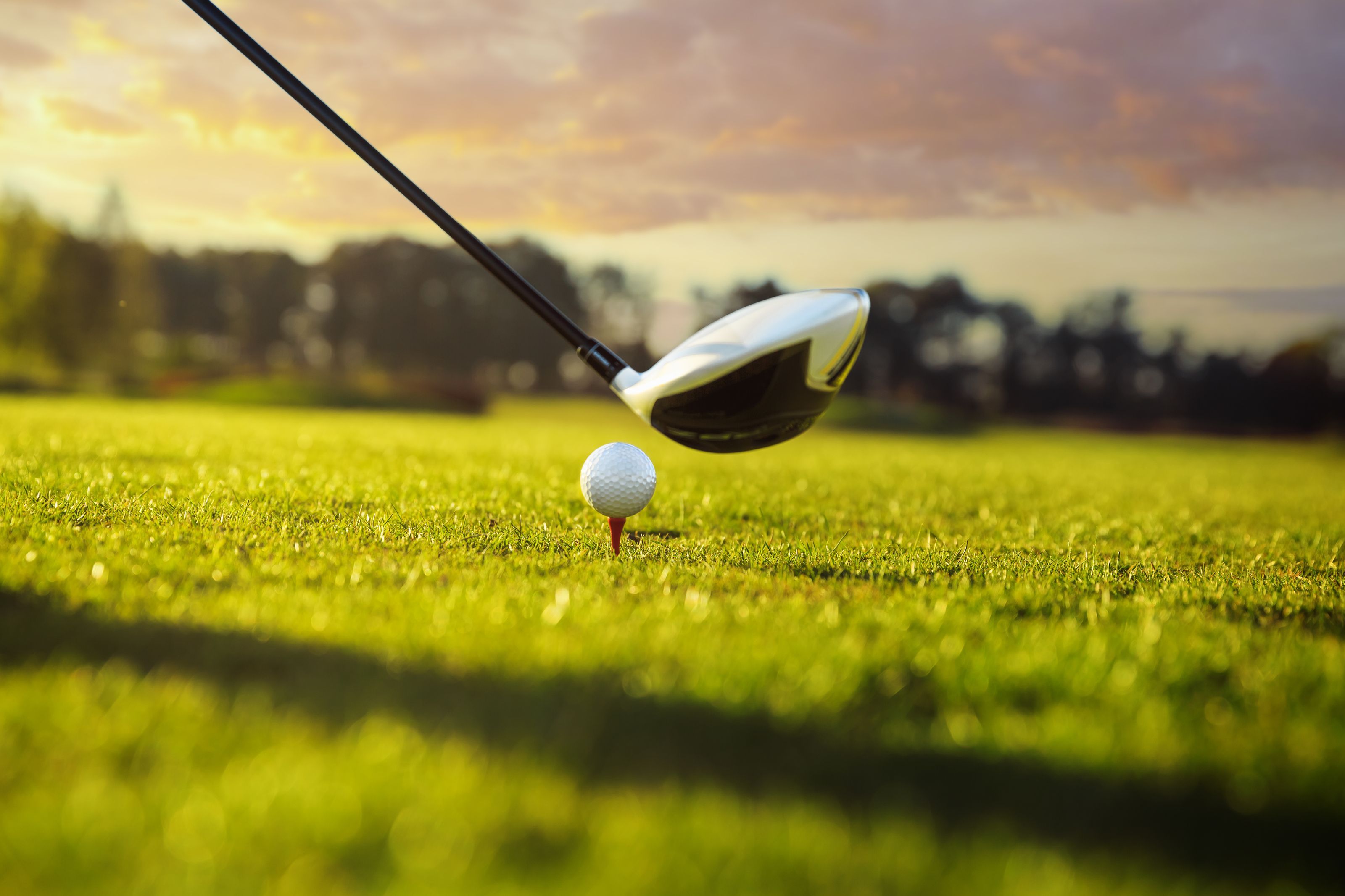 3200x2133 Golf Ball Tee And Driver Mural