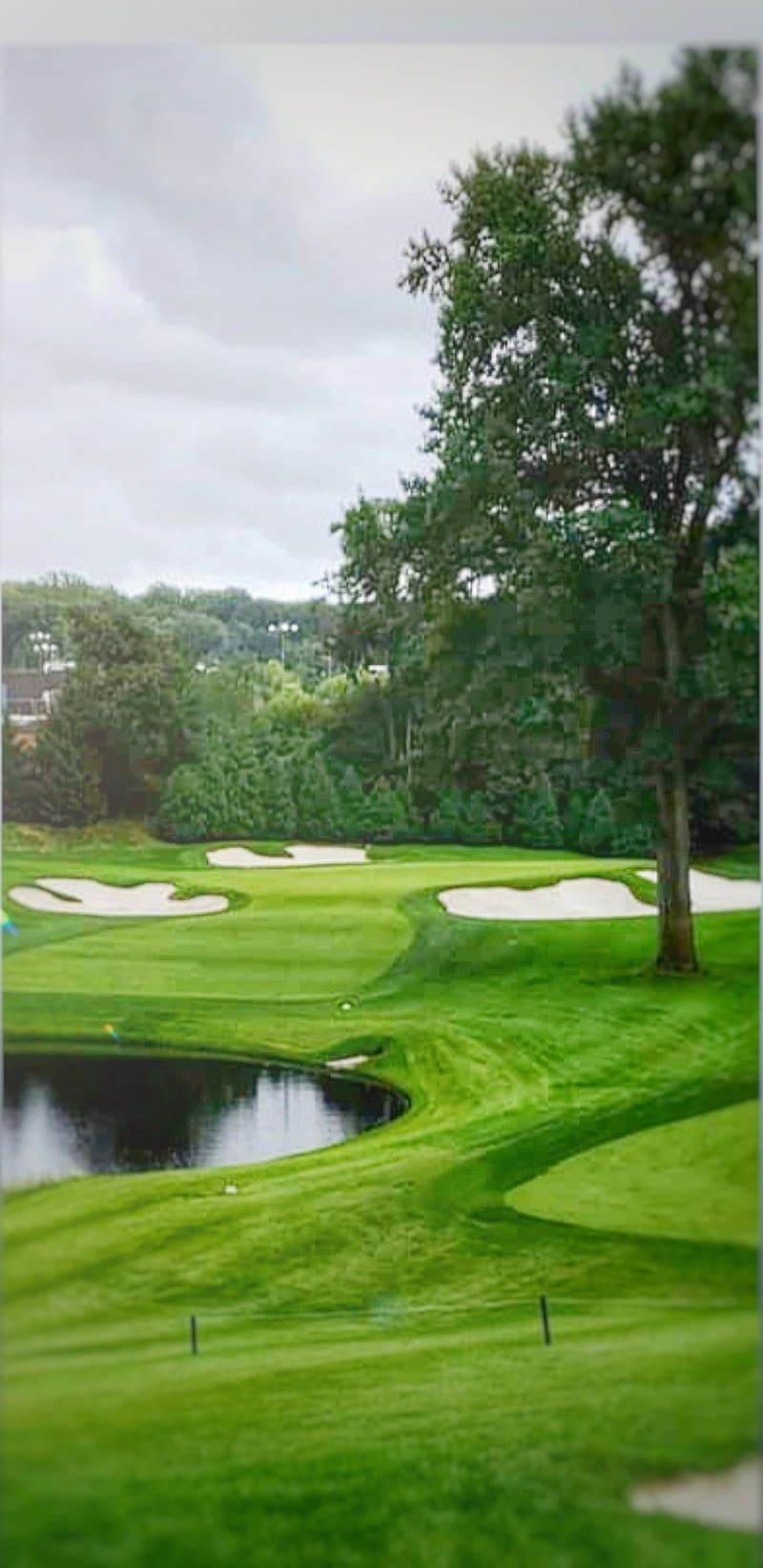 800x1644 Golf course, driver, golf course