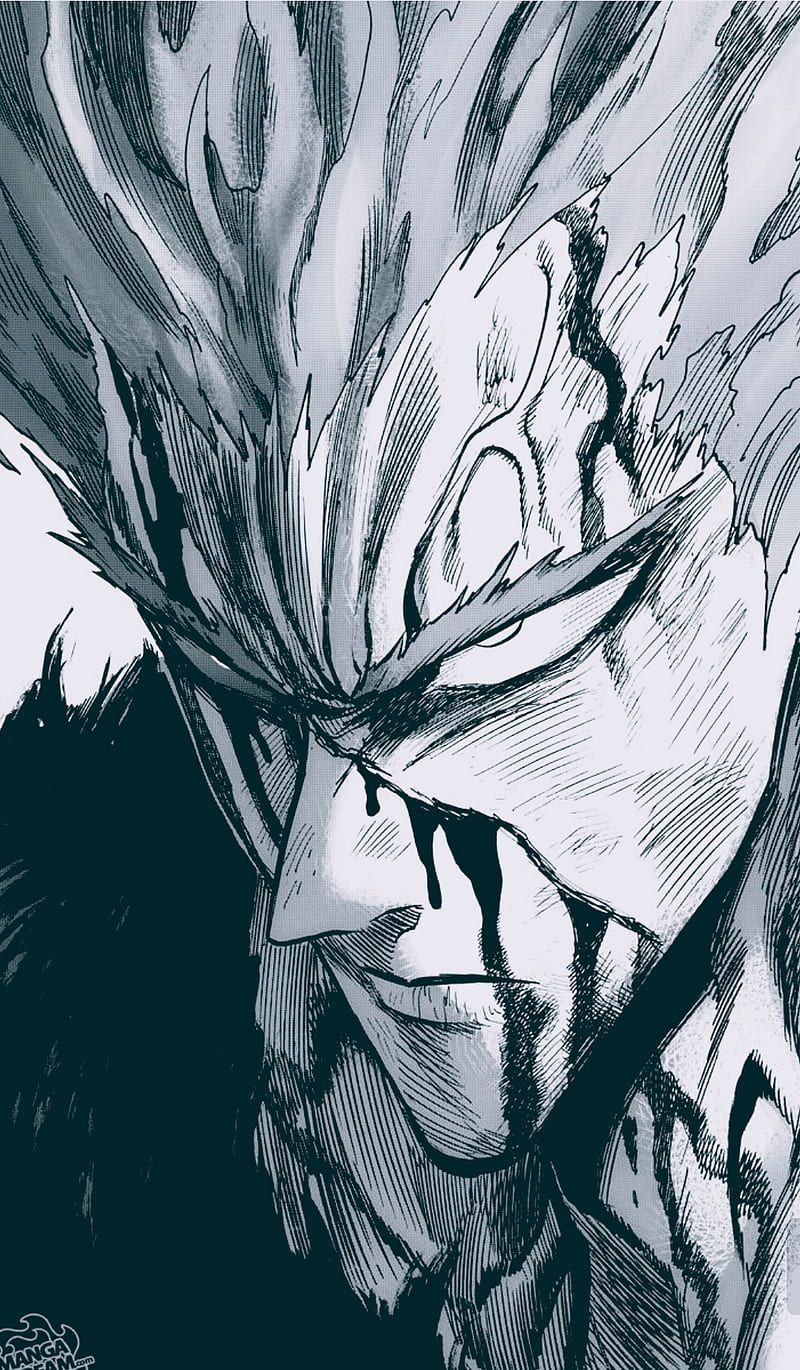 800x1370 Garou, anime, onepunchman, HD phone