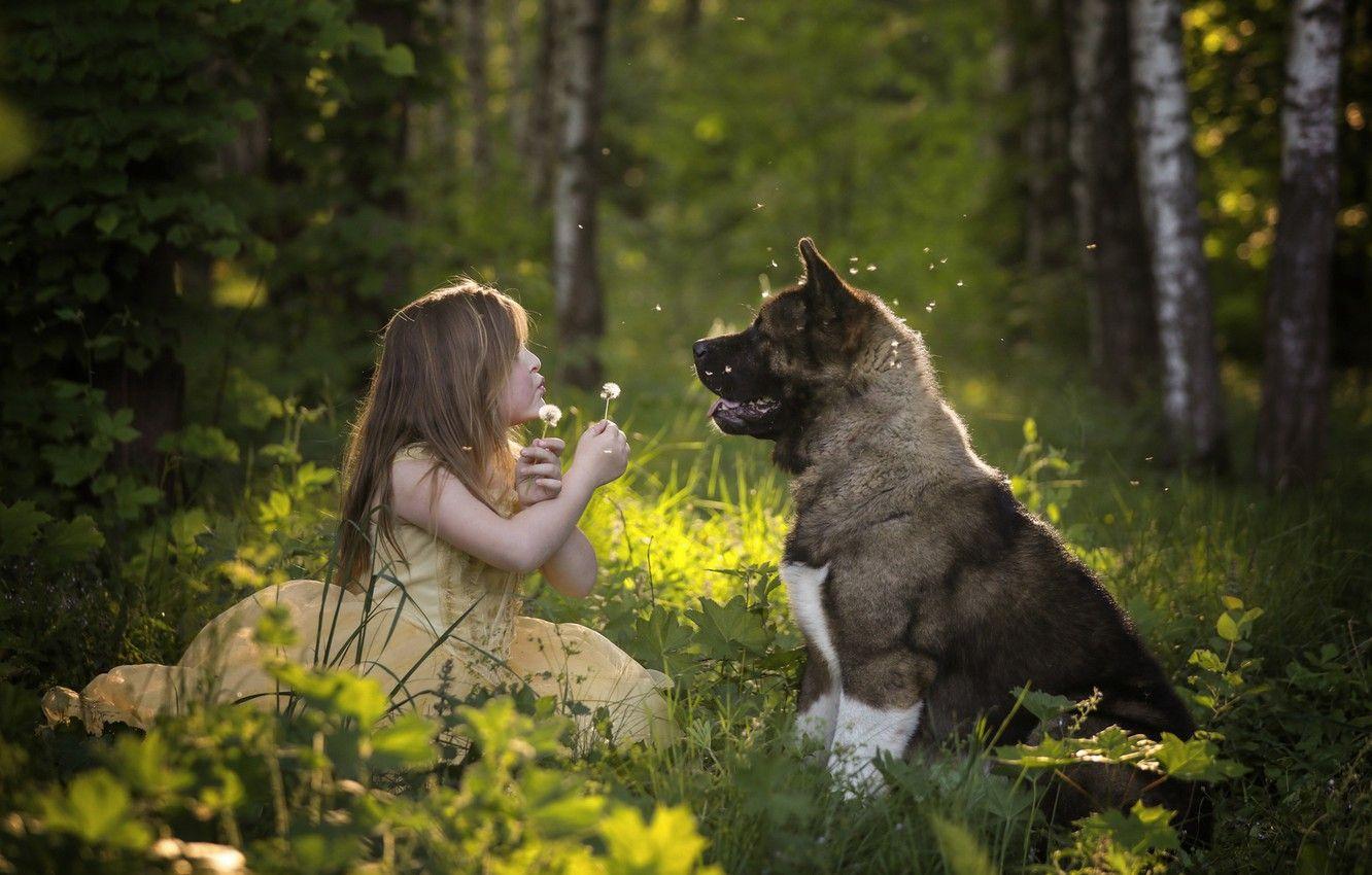 1332x850 Wallpaper forest, mood, dog, girl, dandelions, friends