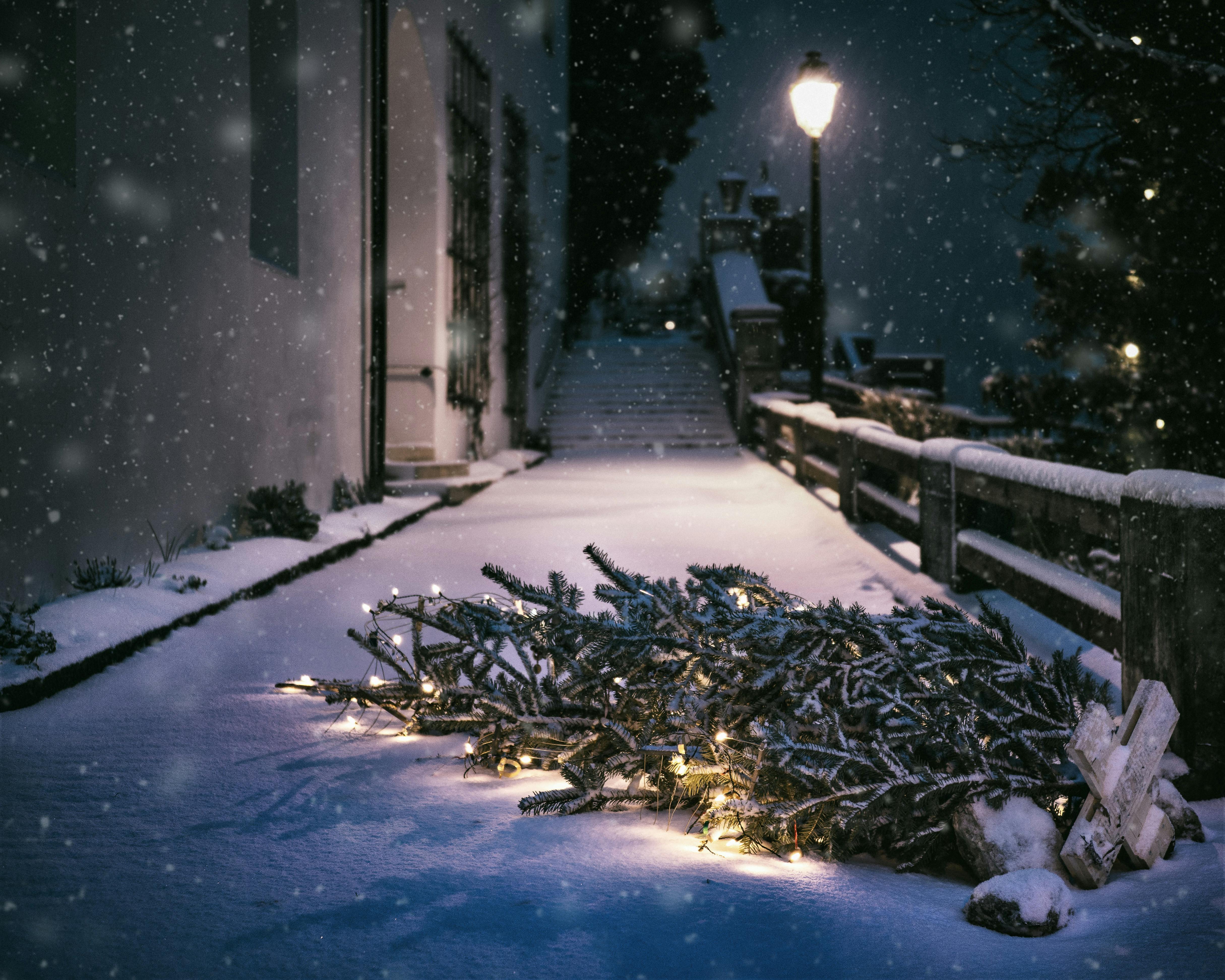 4860x3888 Snow in Town Painting · Free