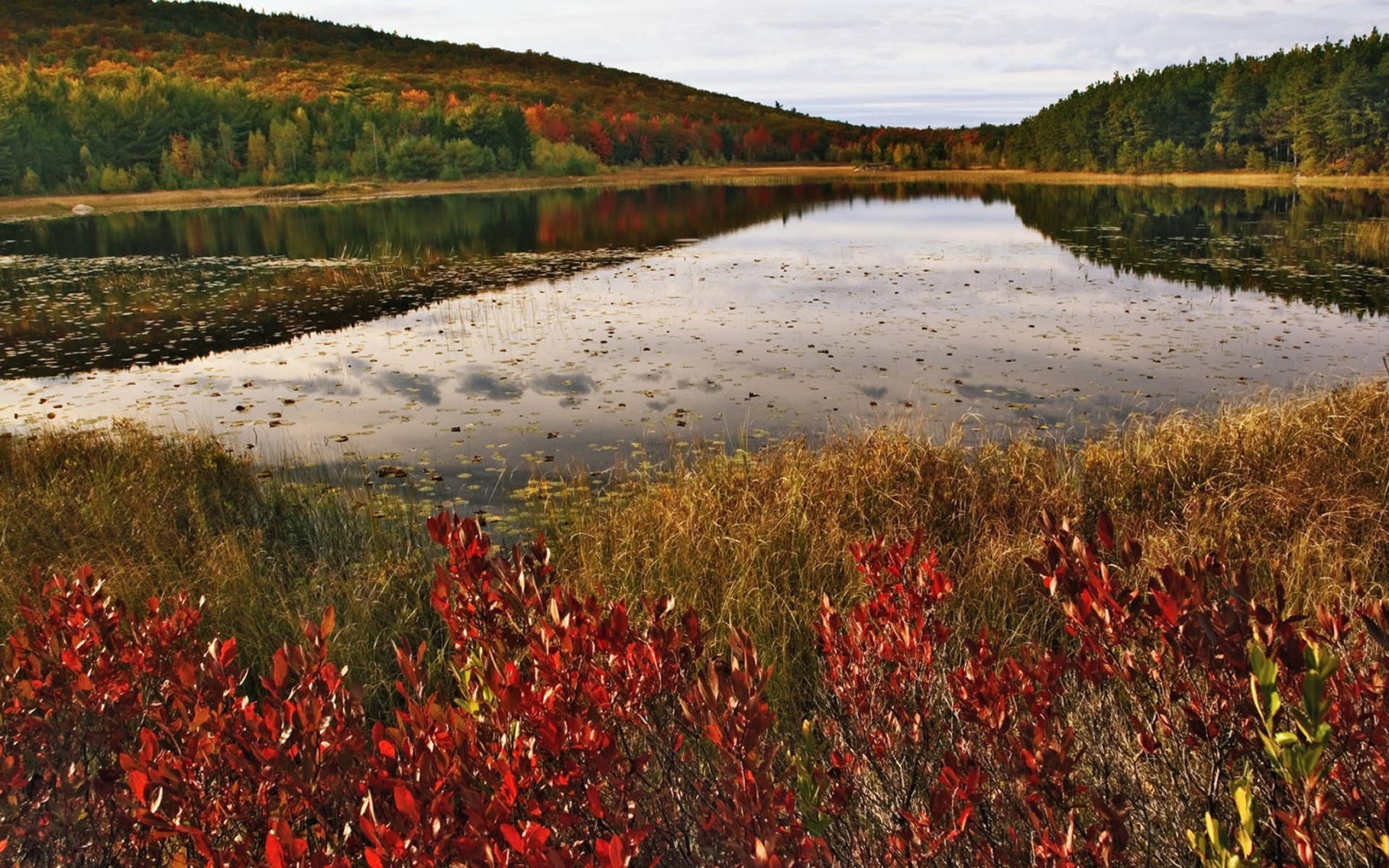 2560x1600 Autumn Scene Wallpaper 1608 :