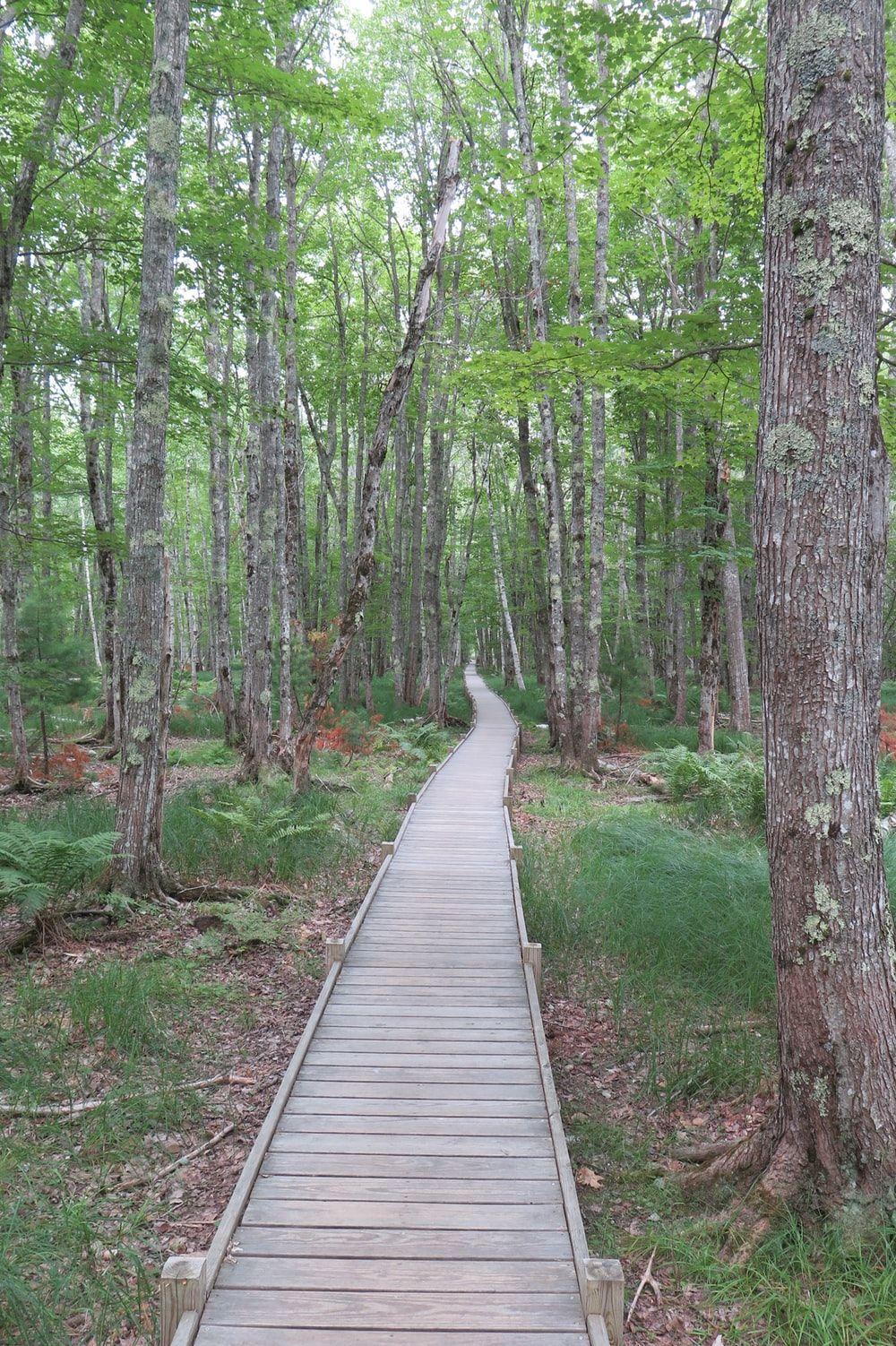 1000x1502 My Travels best free architecture, maine, building