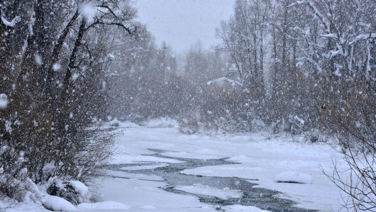 1244x700 Winter Storm Wallpaper