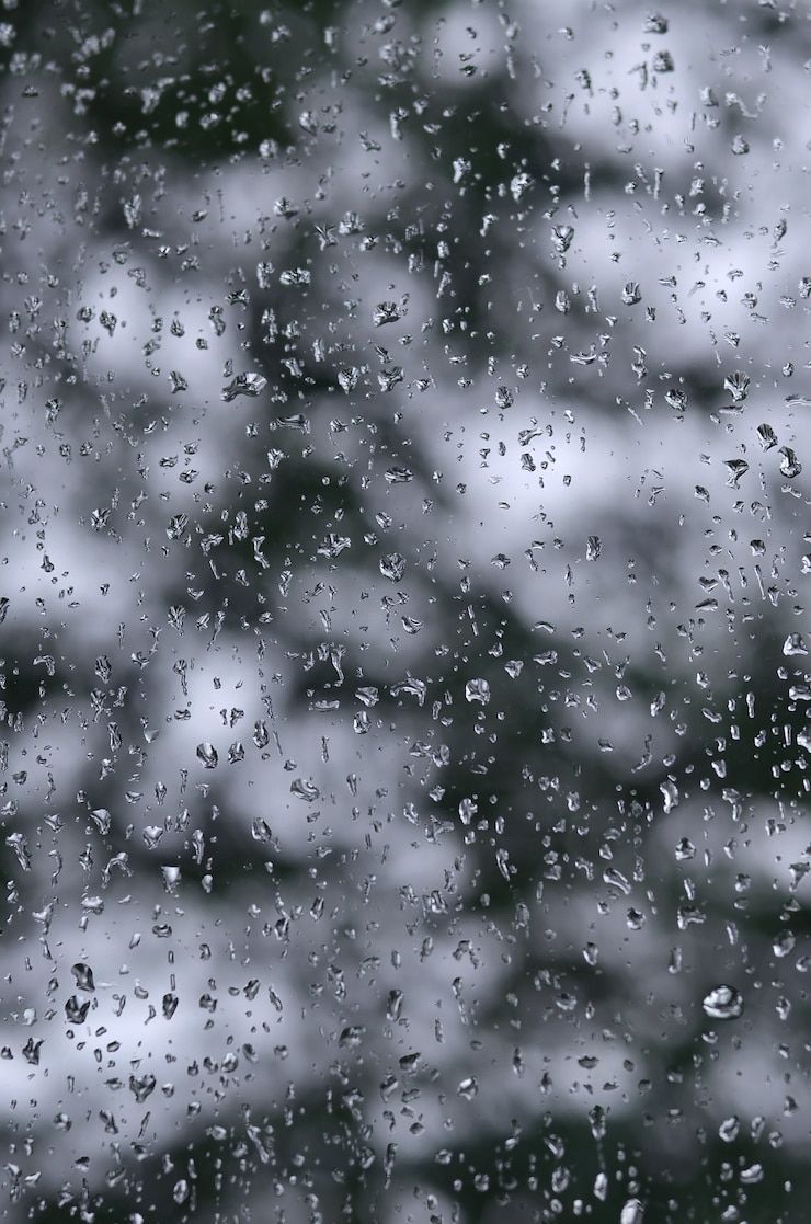 740x1117 Snow Rain Image