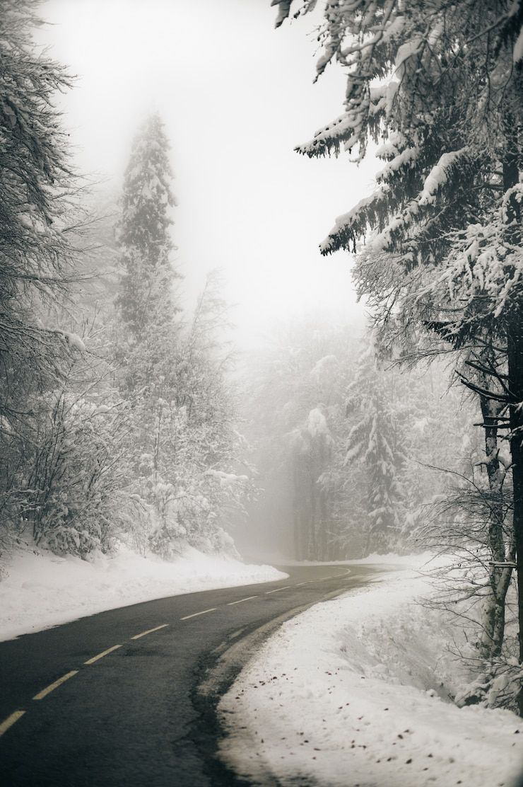 740x1112 Snow With Rain Image
