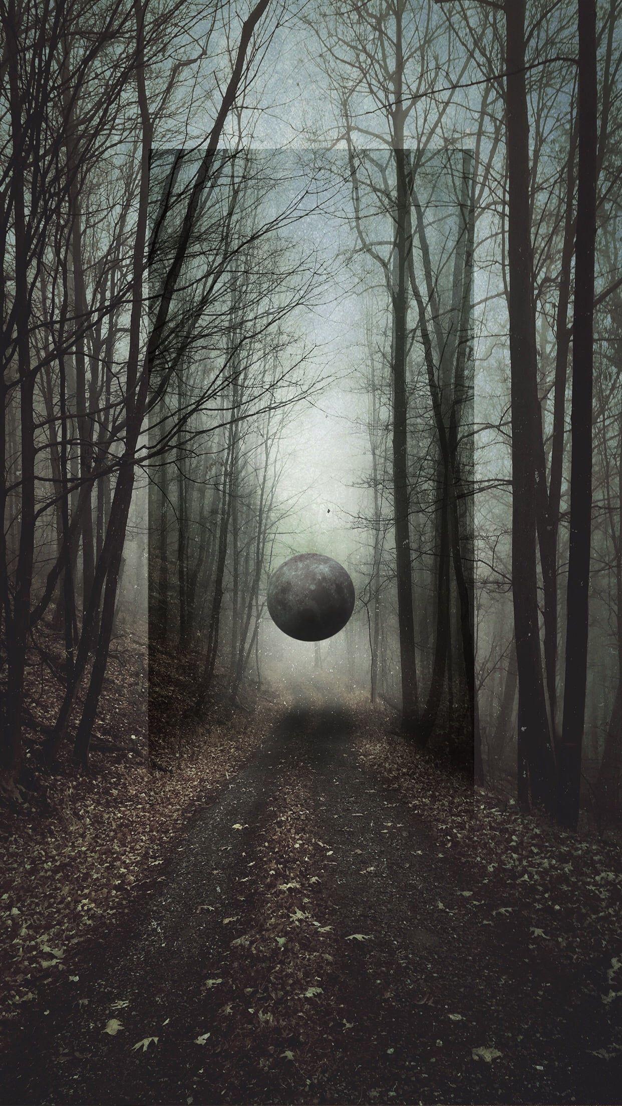 1242x2208 Leafless trees, Moon, forest HD wallpaper