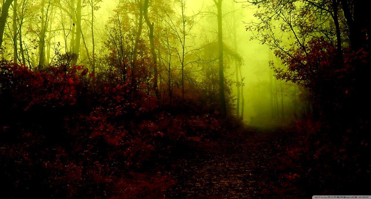1284x691 Dark Autumn Forest Wallpaper