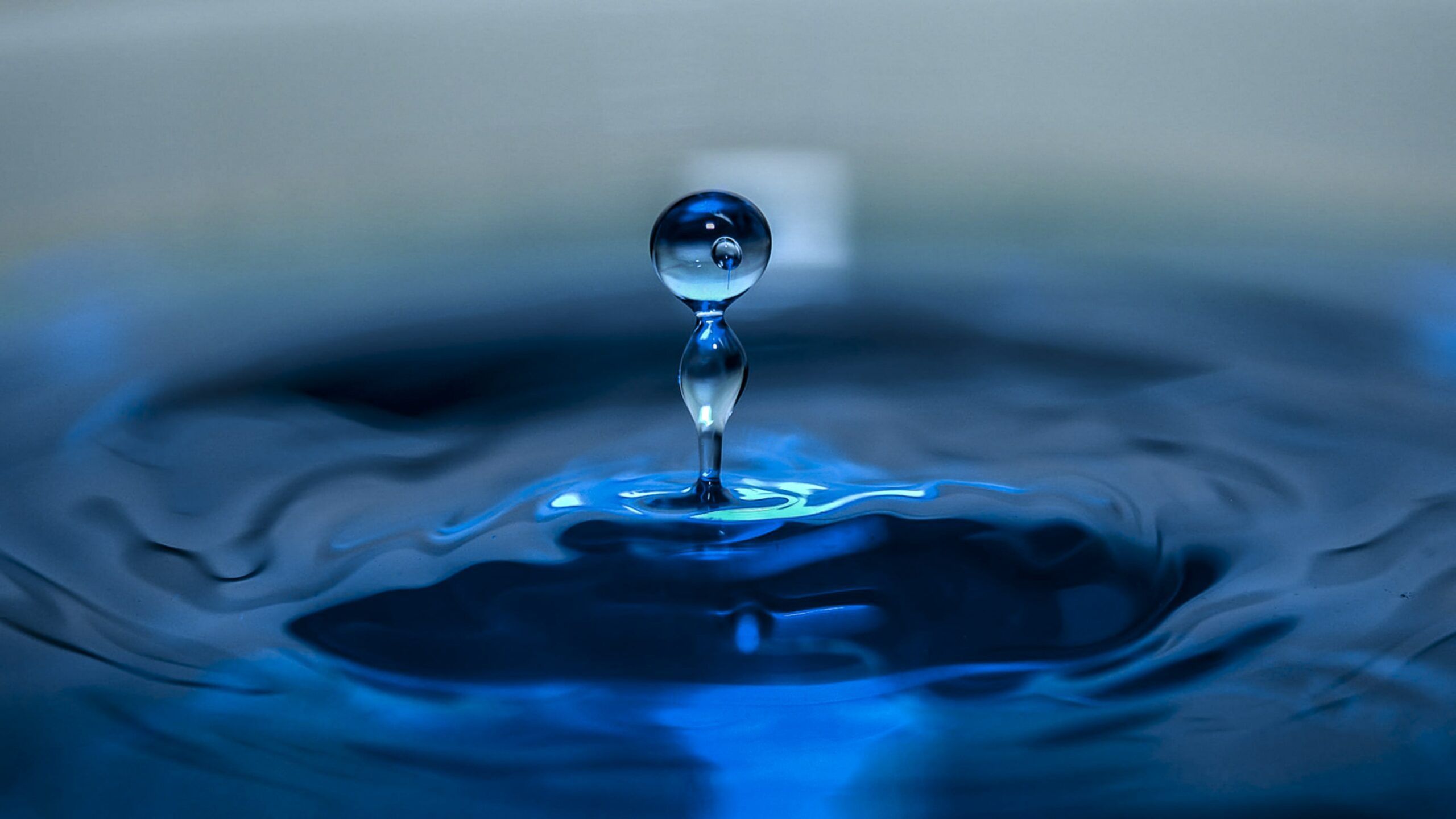 2560x1440 Customer satisfaction related to water