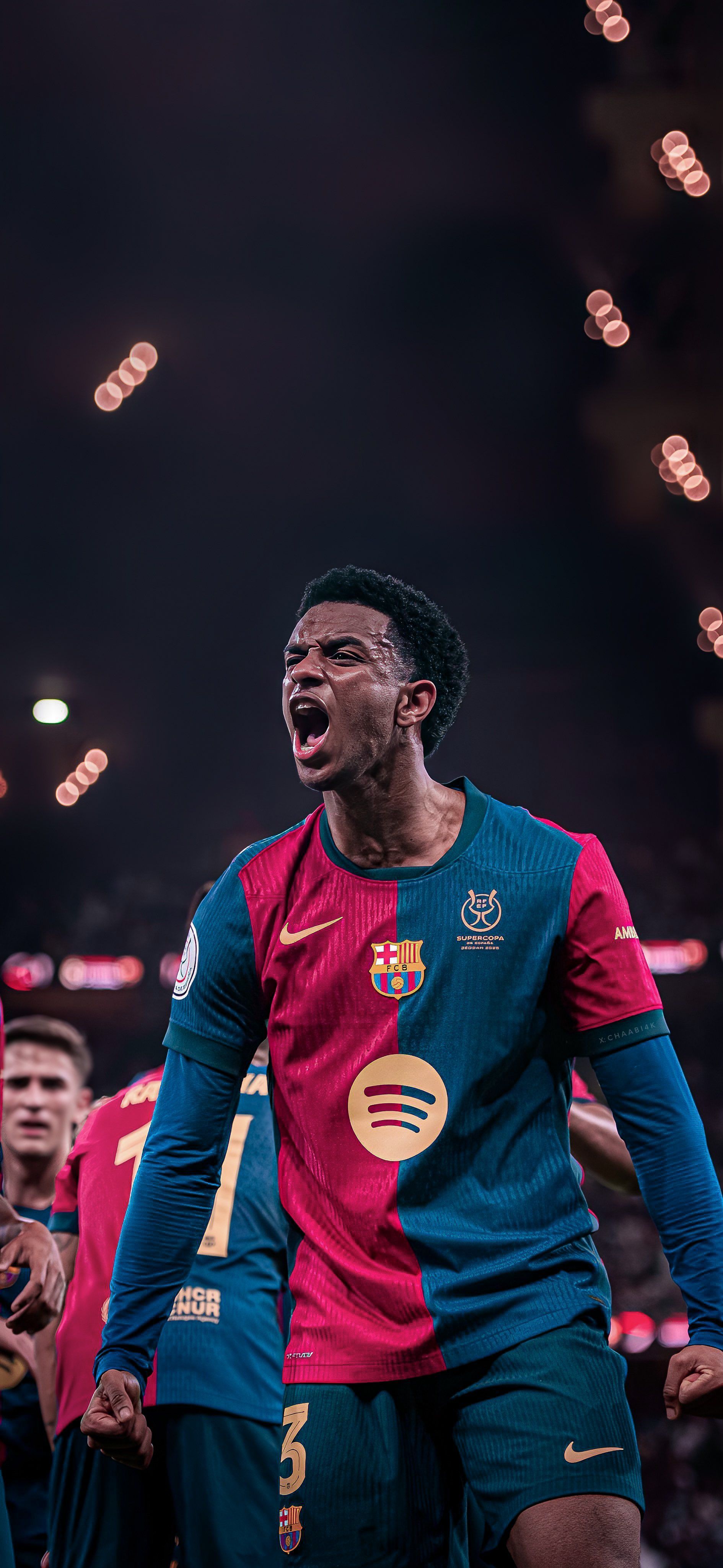 1890x4096 C4K