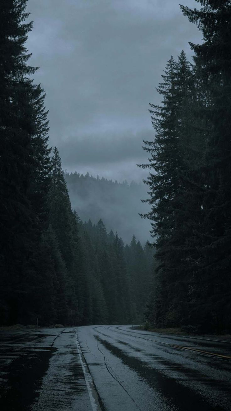 736x1308 Pacific Northwest iPhone Wallpaper HD