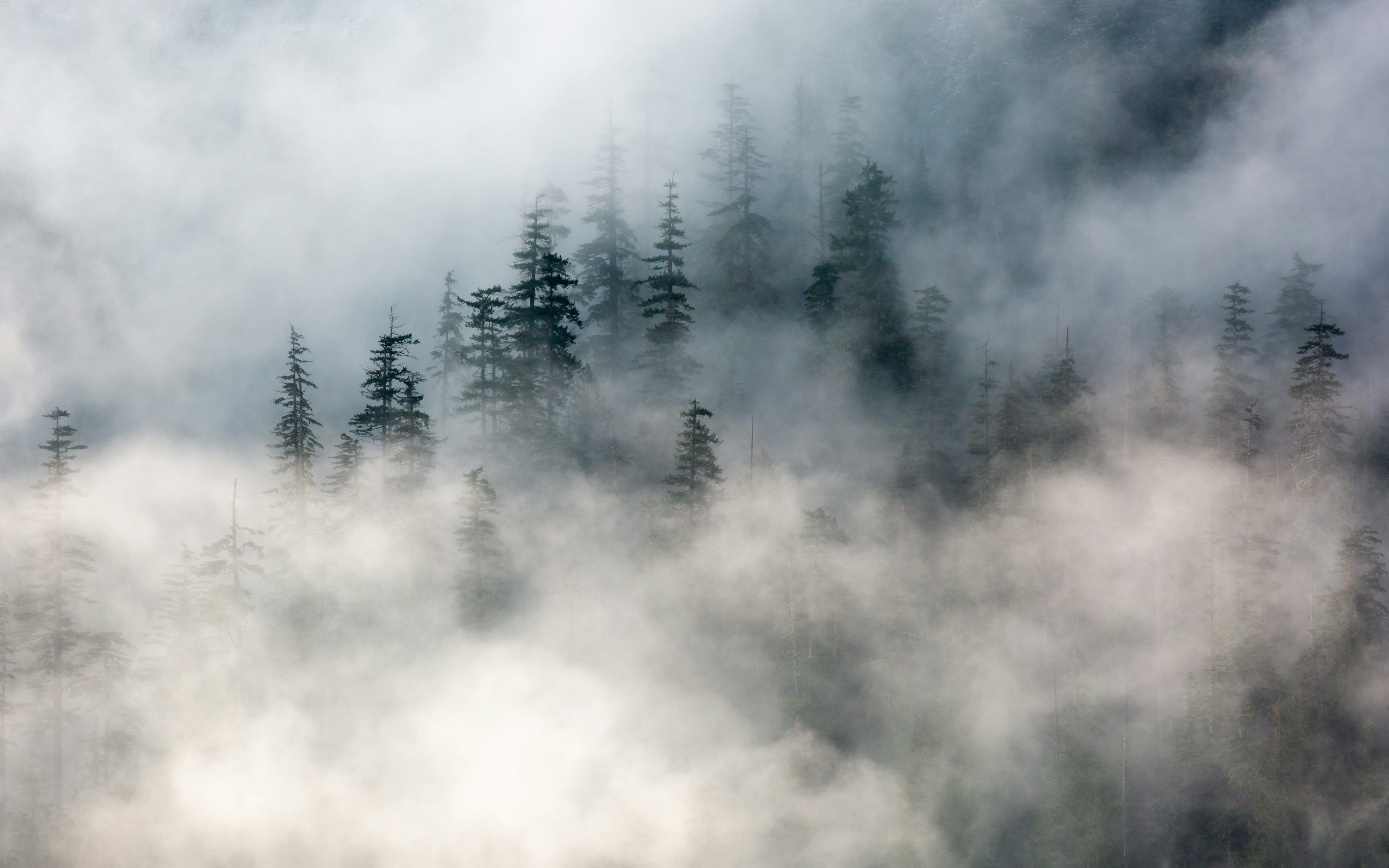 3000x1875 Mountain covered with fogs photo