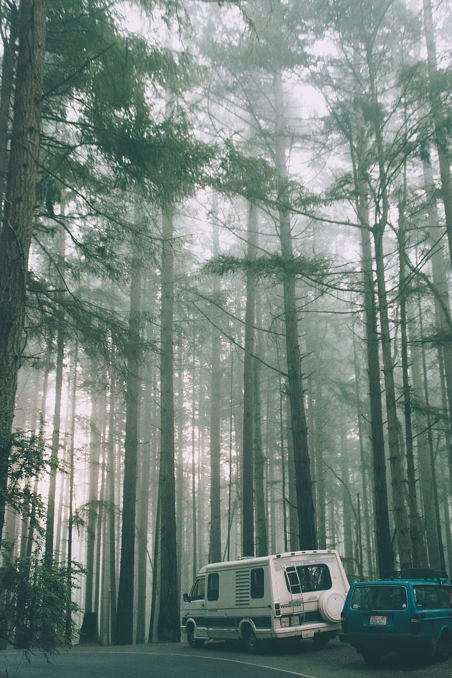 910x1365 HD wallpaper: tacoma, united states