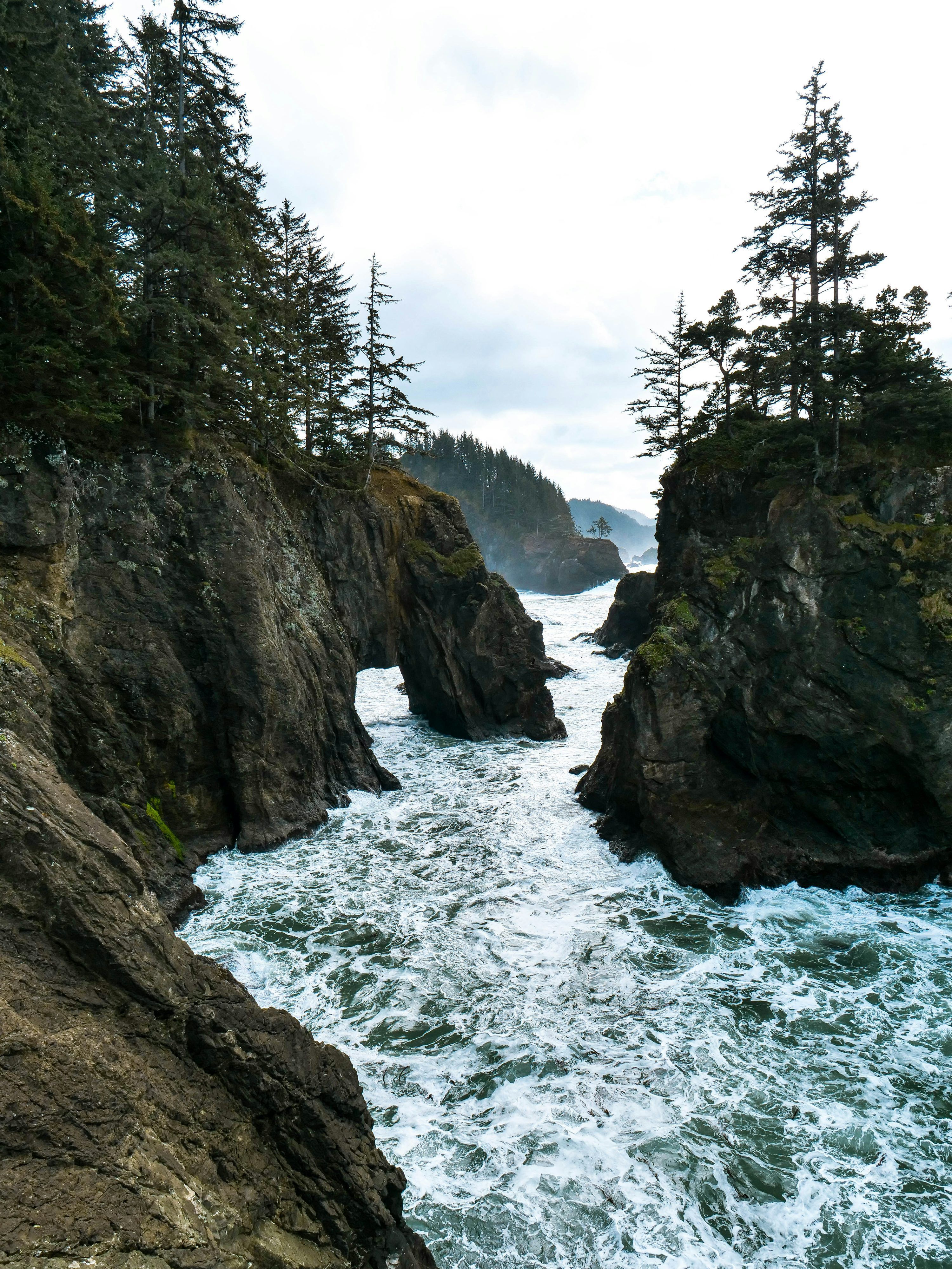 3000x4000 Pacific Northwest Picture