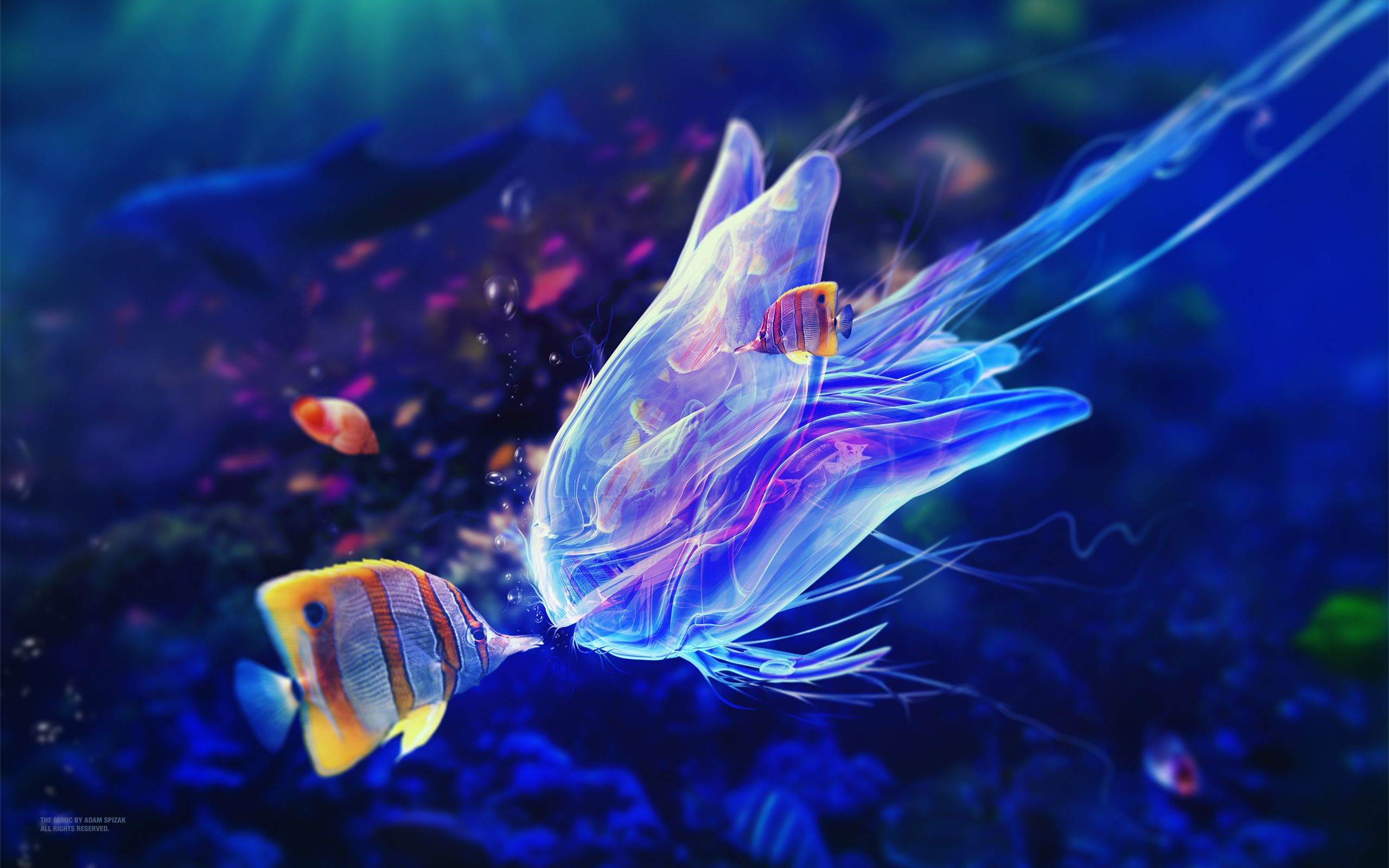 2560x1600 Underwater Mimic HD Wallpaper